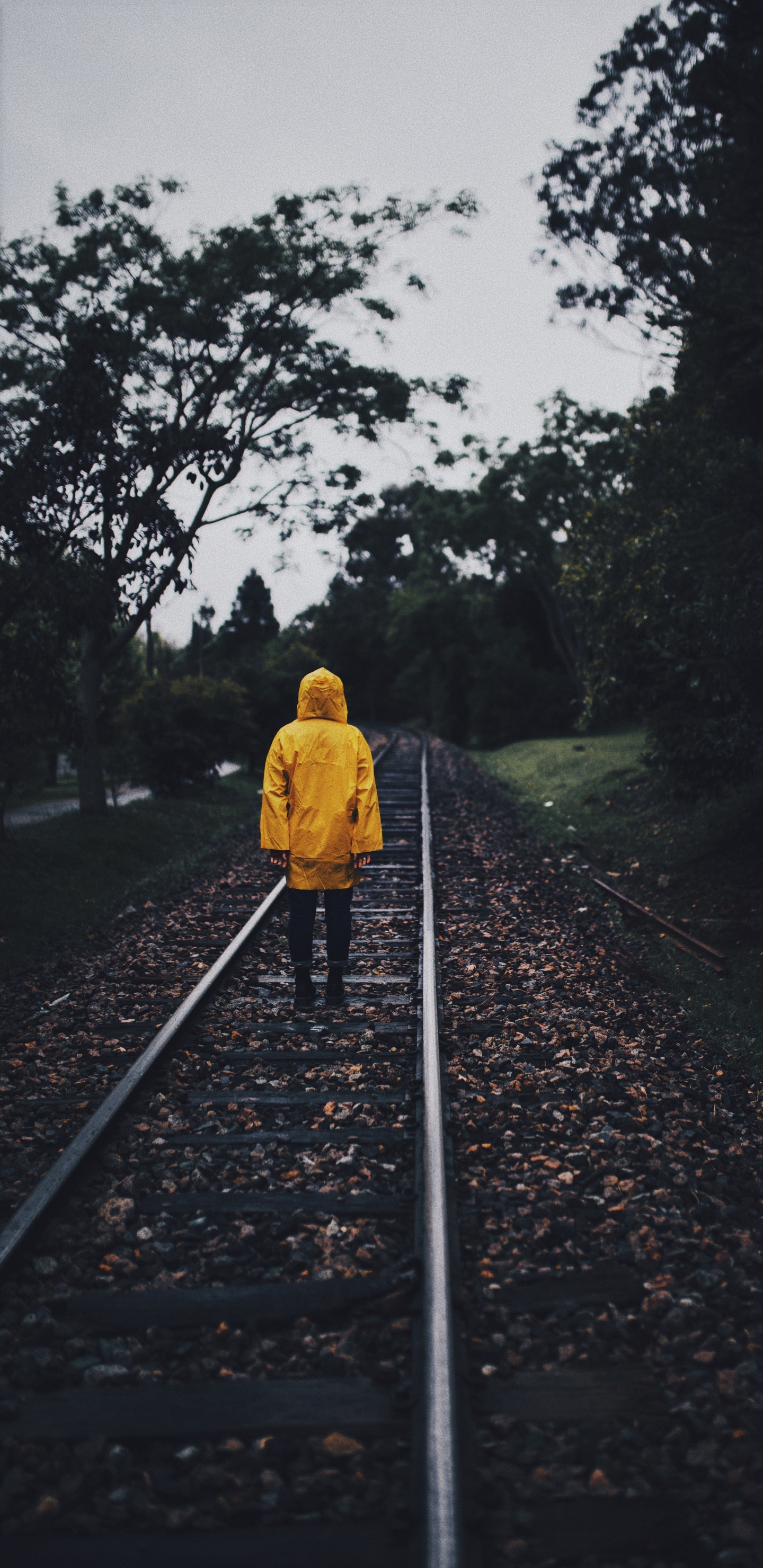 Transport, Piste, Jaune, Ligne, la Piste. Wallpaper in 1440x2960 Resolution