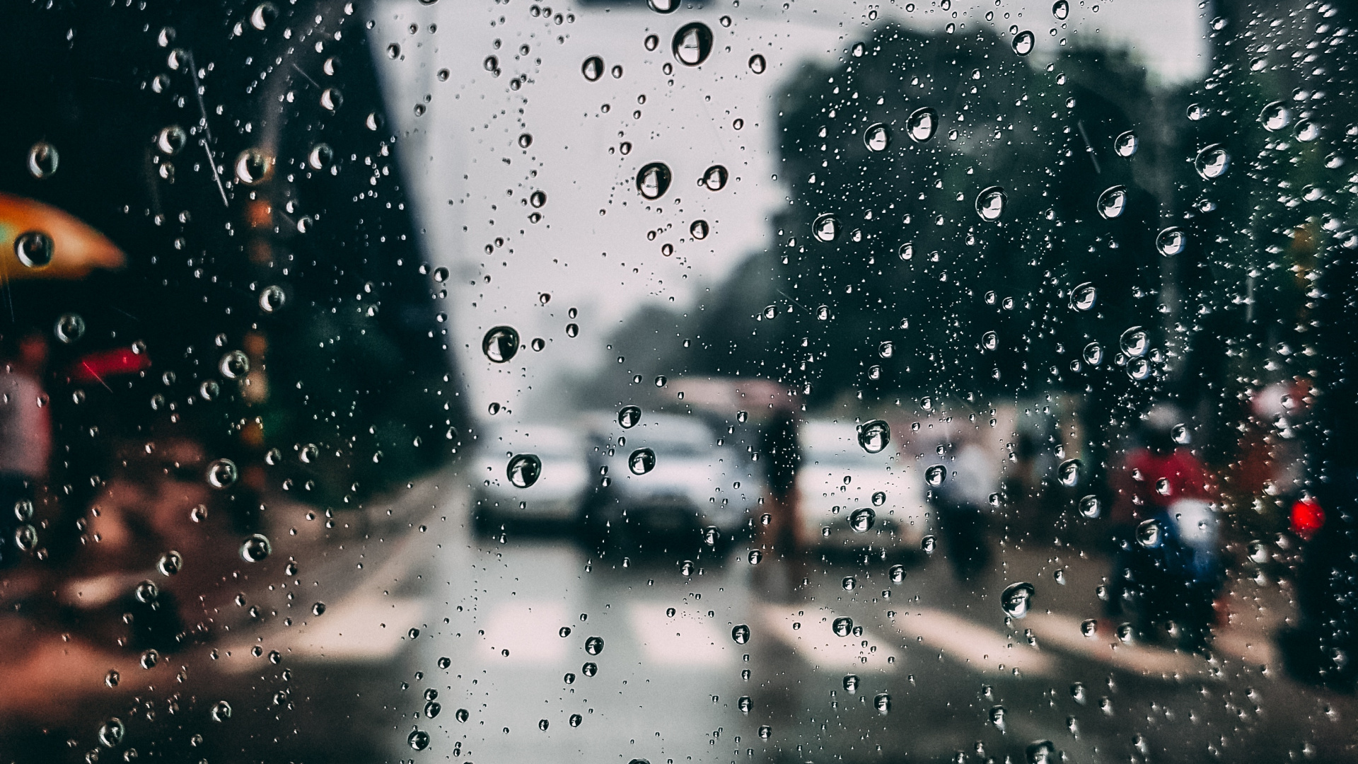 Pluie, Fenêtre, Précipitations, Eau, Crachin. Wallpaper in 1920x1080 Resolution