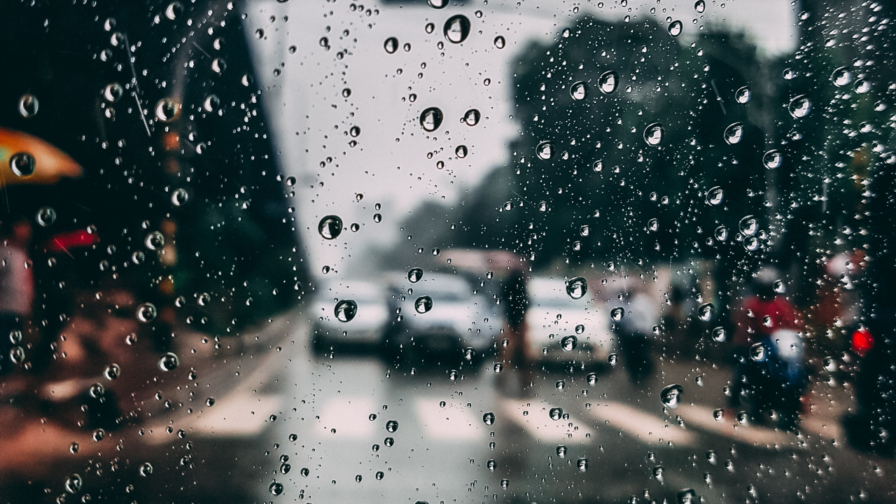 Lluvia, Ventana, Precipitación, Agua, Llovizna. Wallpaper in 1280x720 Resolution