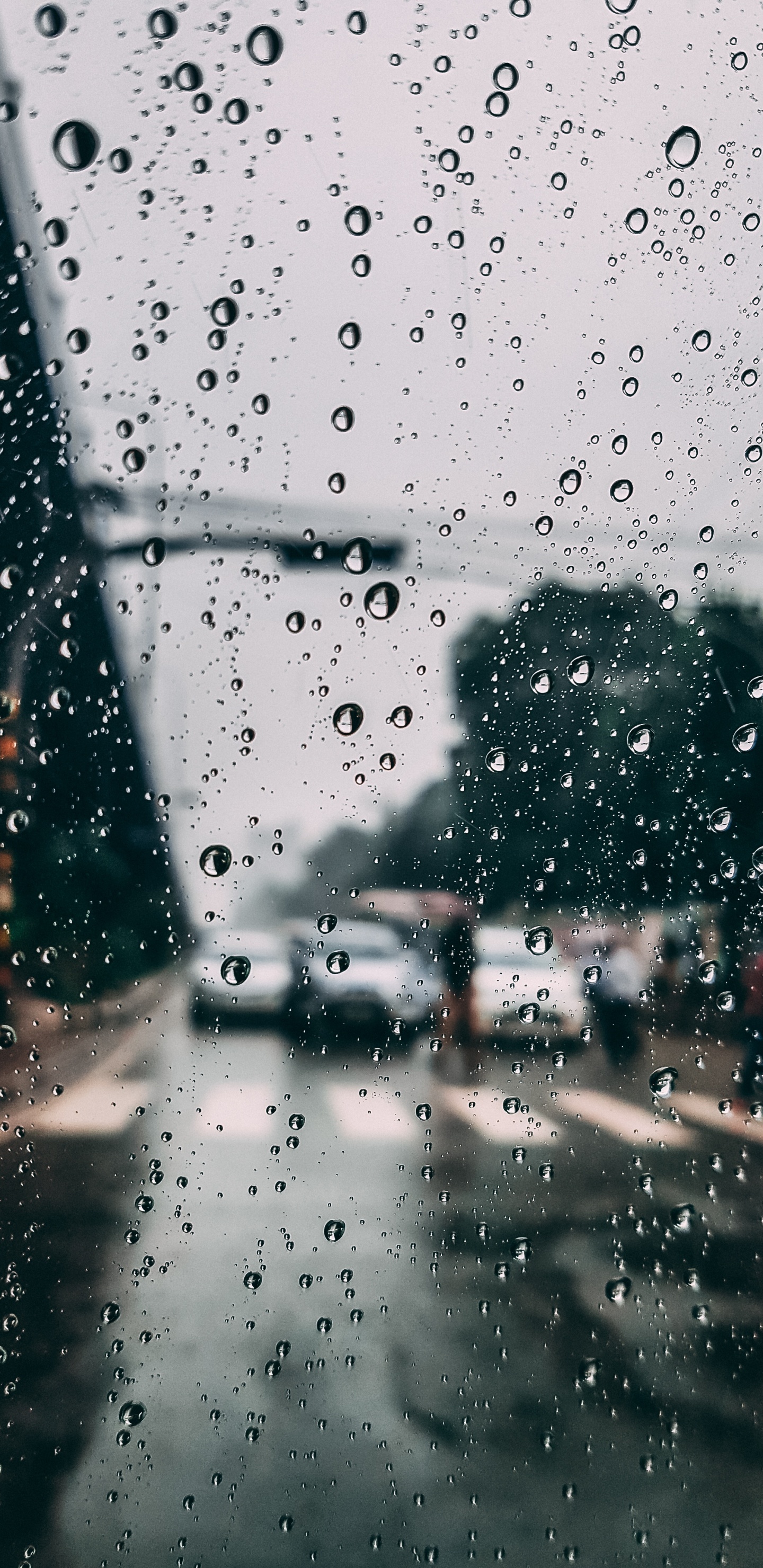 Lluvia, Ventana, Precipitación, Agua, Llovizna. Wallpaper in 1440x2960 Resolution