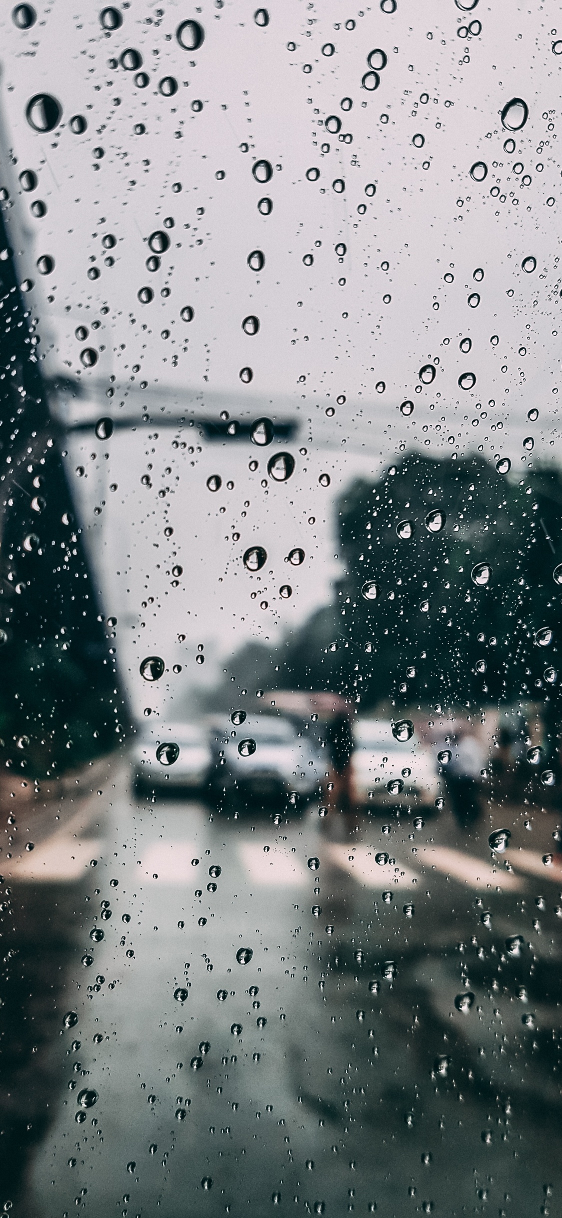 窗口, 降水, 小雨, 放下, 挡风玻璃 壁纸 1125x2436 允许