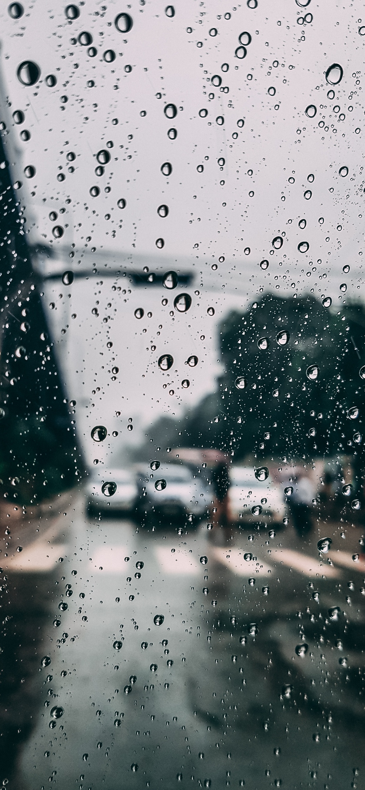 窗口, 降水, 小雨, 放下, 挡风玻璃 壁纸 1242x2688 允许