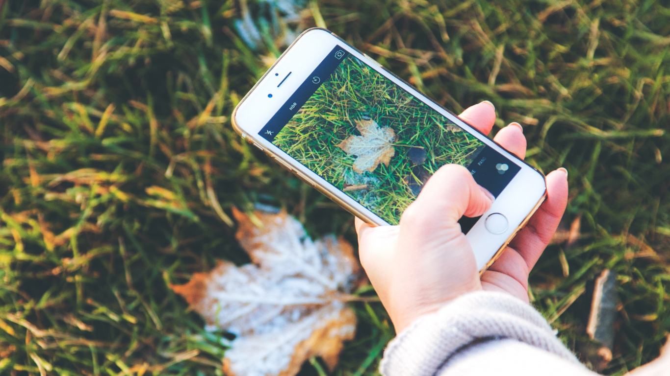 Person Holding Silver Iphone 6. Wallpaper in 1366x768 Resolution