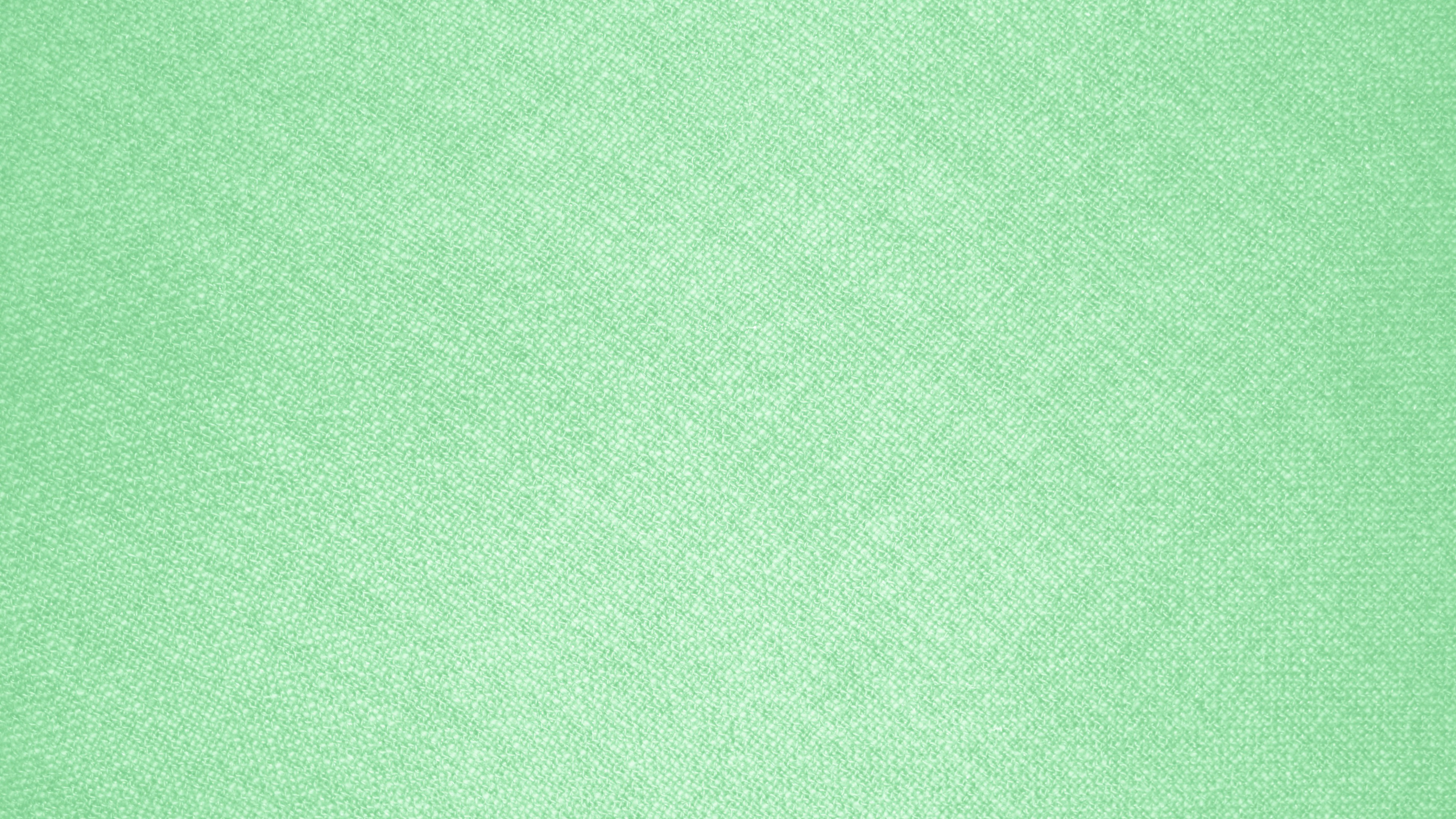 Textil Verde Con Línea Blanca. Wallpaper in 2560x1440 Resolution