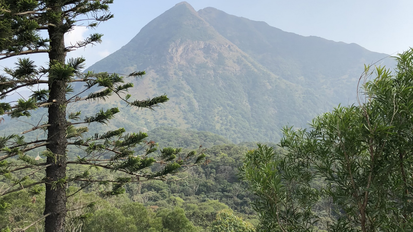 植被, 多山的地貌, 植物群, 高地, 森林 壁纸 1366x768 允许