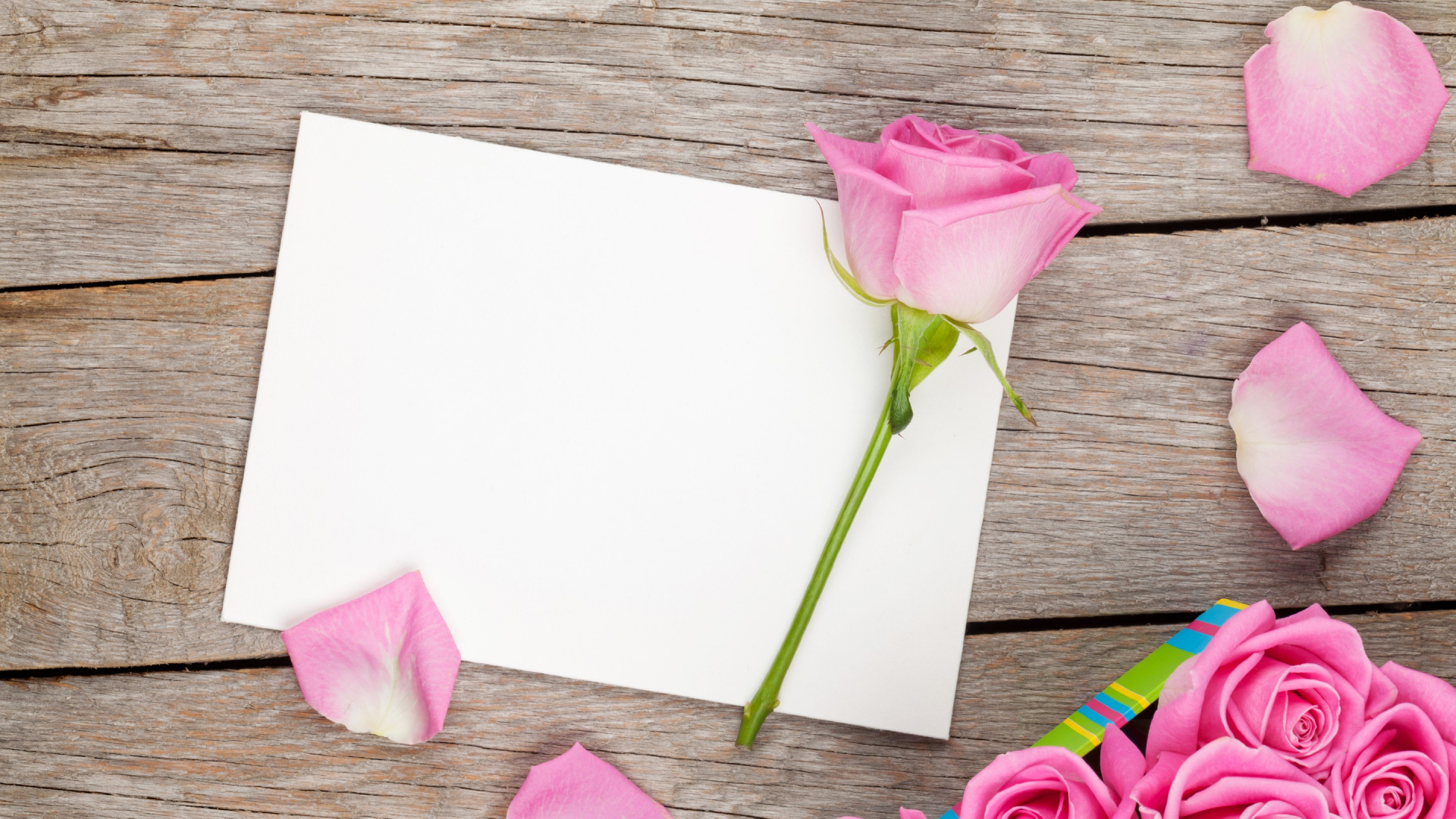 Rosa Rose Auf Weißem Druckerpapier. Wallpaper in 1920x1080 Resolution