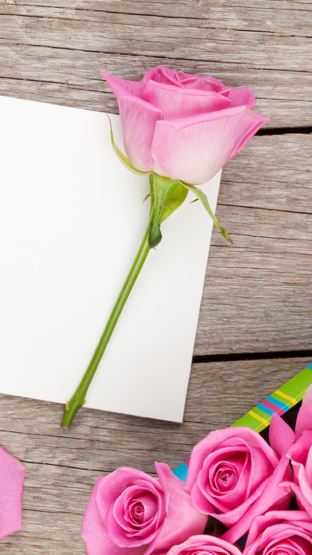 Pink Rose on White Printer Paper. Wallpaper in 1080x1920 Resolution