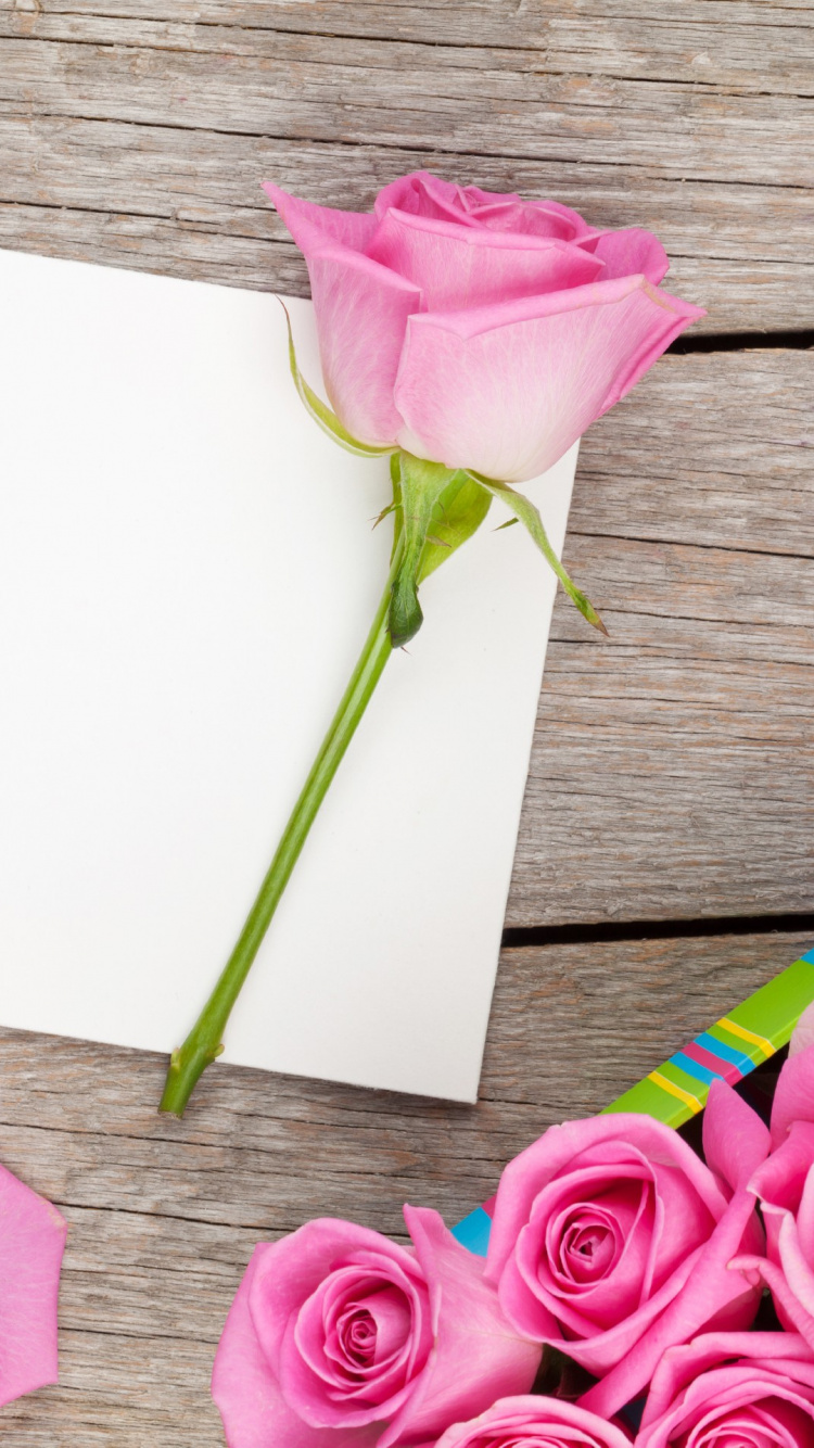 Pink Rose on White Printer Paper. Wallpaper in 750x1334 Resolution