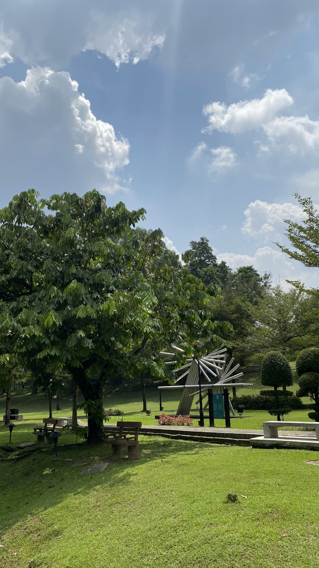 Parque, Jardin, Cumulus, Prado, Jardinería. Wallpaper in 1080x1920 Resolution