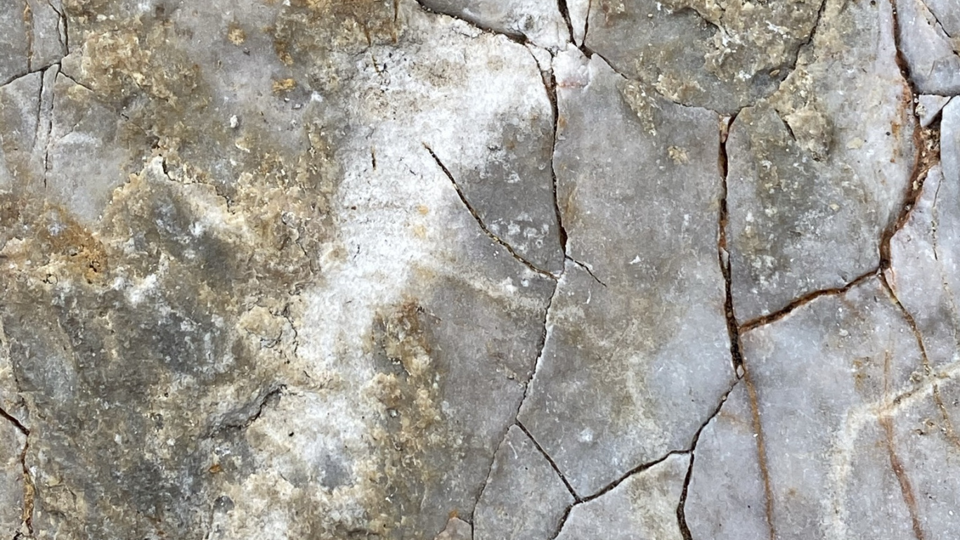 Wall, Outcrop, Brown, Bedrock, Wood. Wallpaper in 1366x768 Resolution