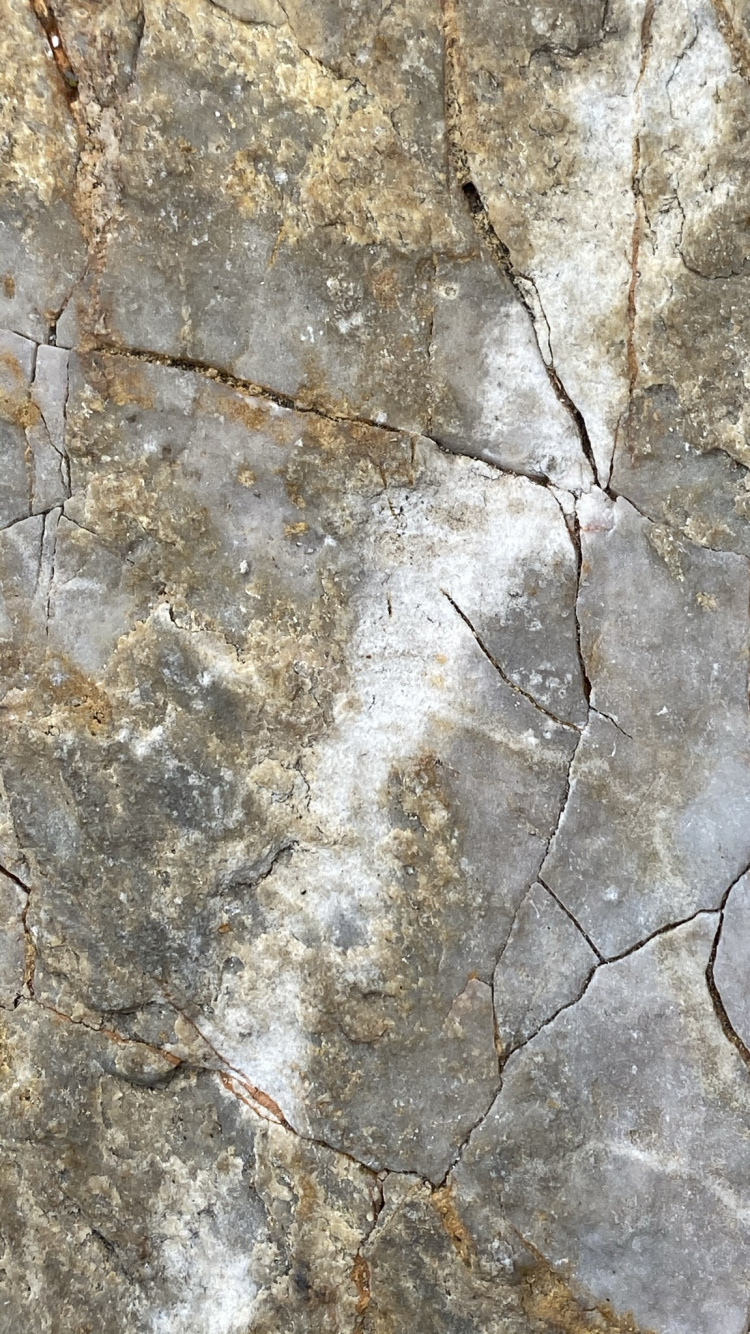 Wall, Outcrop, Brown, Bedrock, Wood. Wallpaper in 750x1334 Resolution