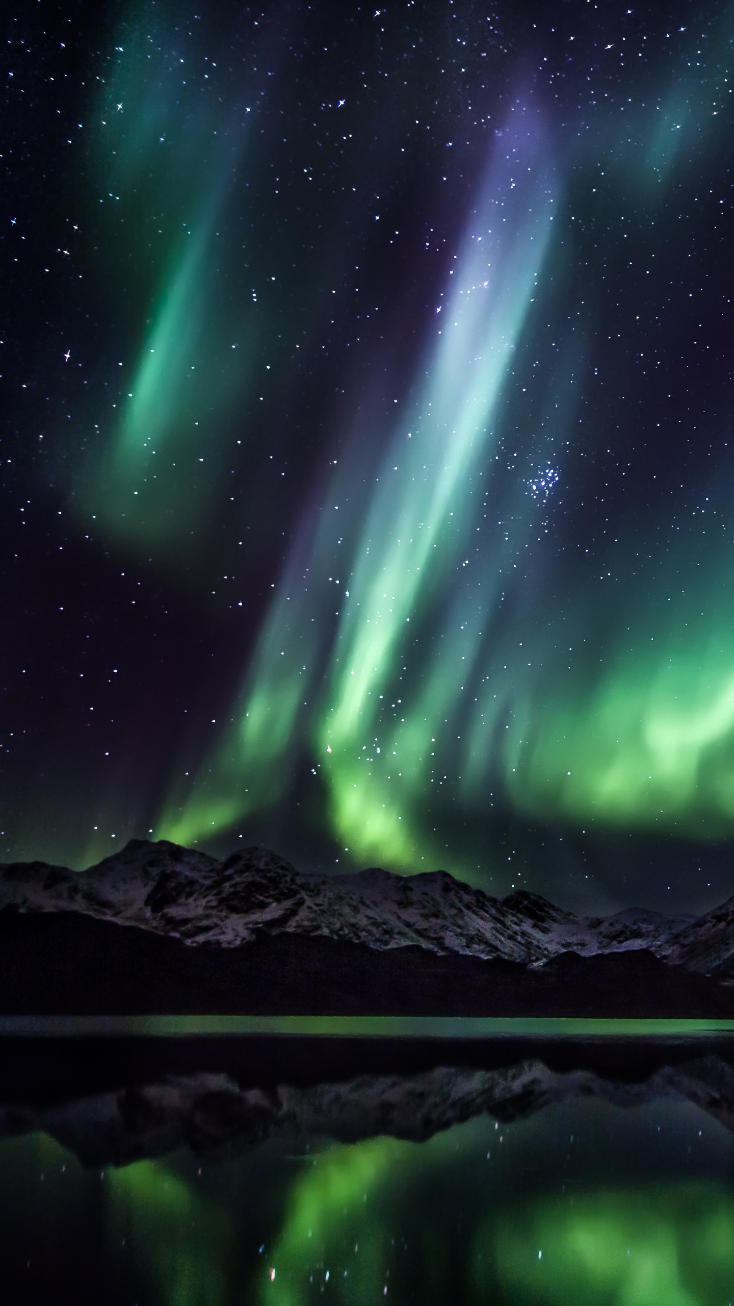 Greenland, Aurora, Travel, Arctic Circle, Nature. Wallpaper in 1440x2560 Resolution