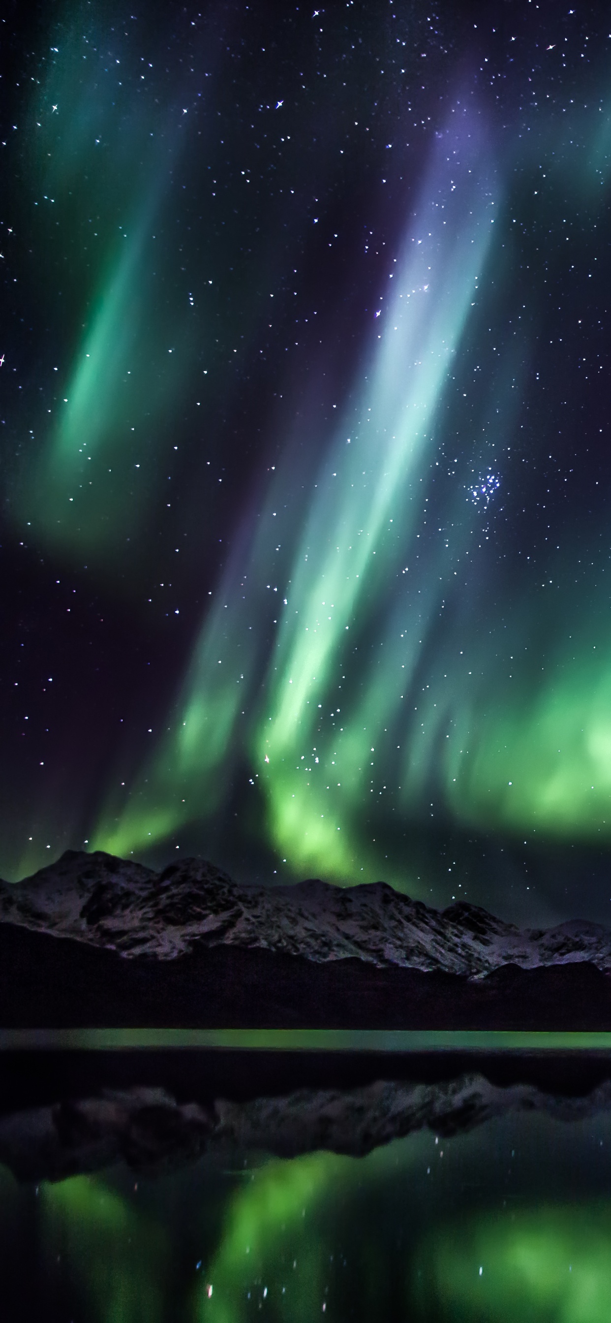 Groenland, Aurora, Voyage, Cercle Arctique, Nature. Wallpaper in 1242x2688 Resolution