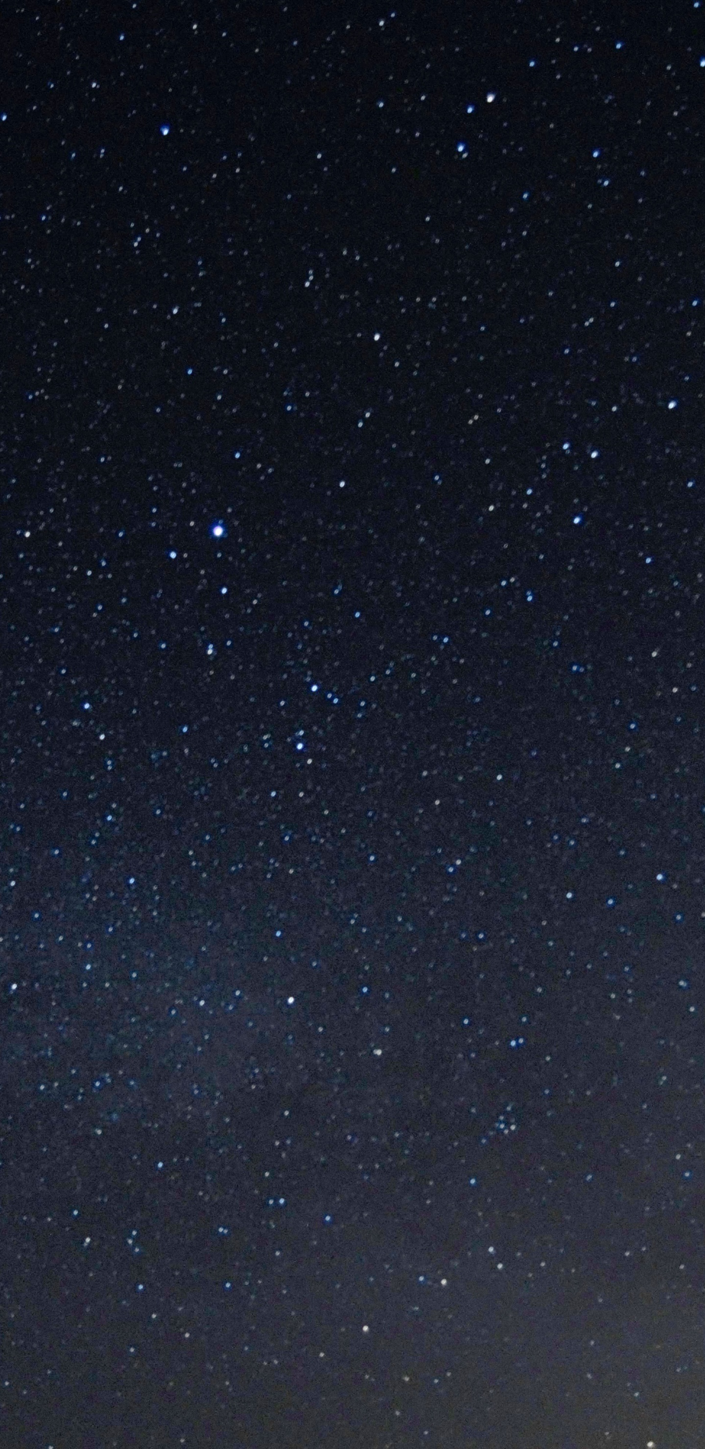 Cielo Estrellado Sobre la Noche Estrellada. Wallpaper in 1440x2960 Resolution