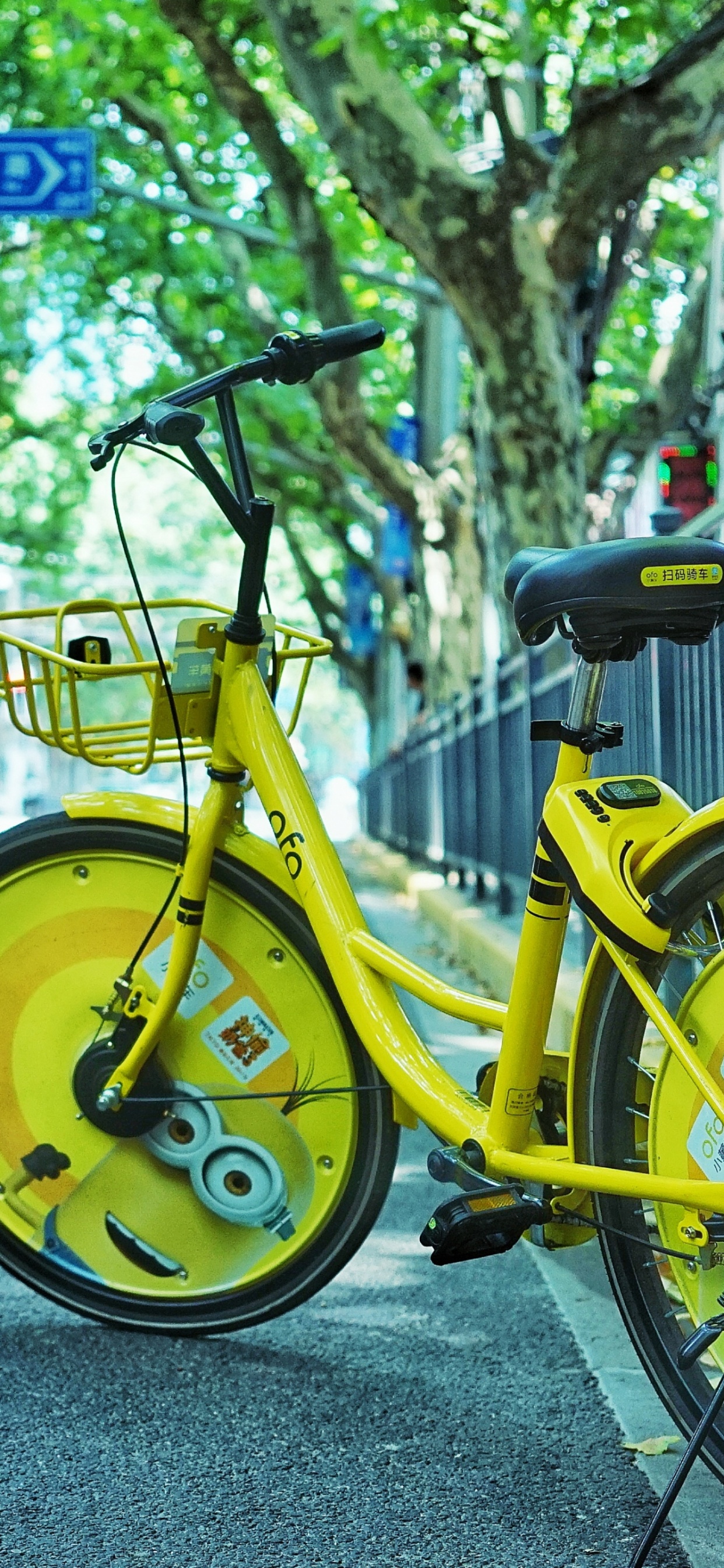 Yellow Bicycle on Gray Asphalt Road During Daytime. Wallpaper in 1242x2688 Resolution
