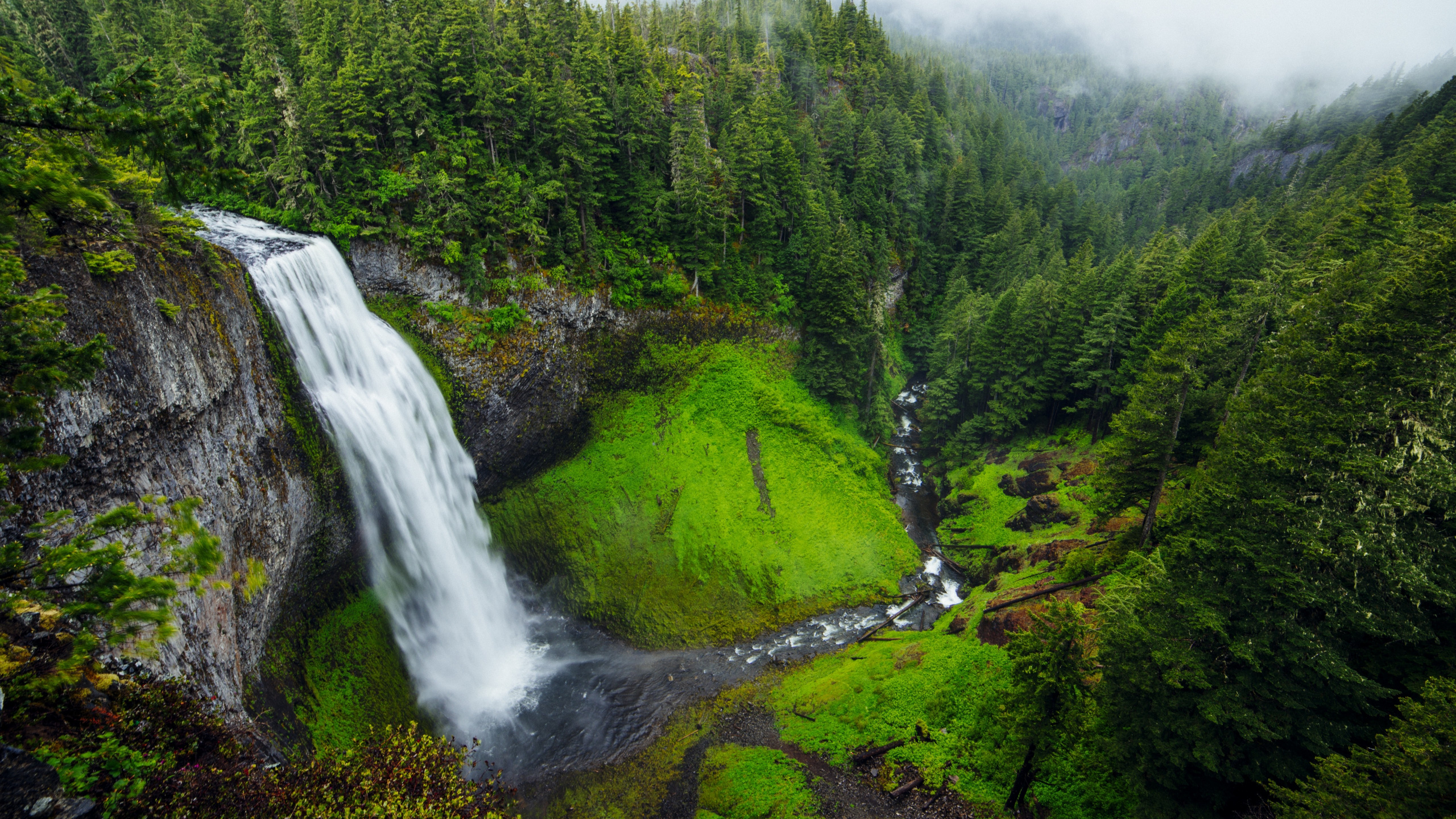 Green Trees and Water Falls. Wallpaper in 2560x1440 Resolution