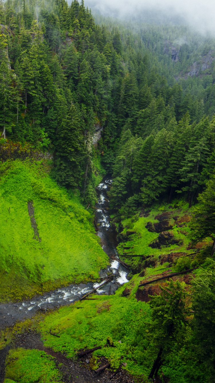 Green Trees and Water Falls. Wallpaper in 750x1334 Resolution