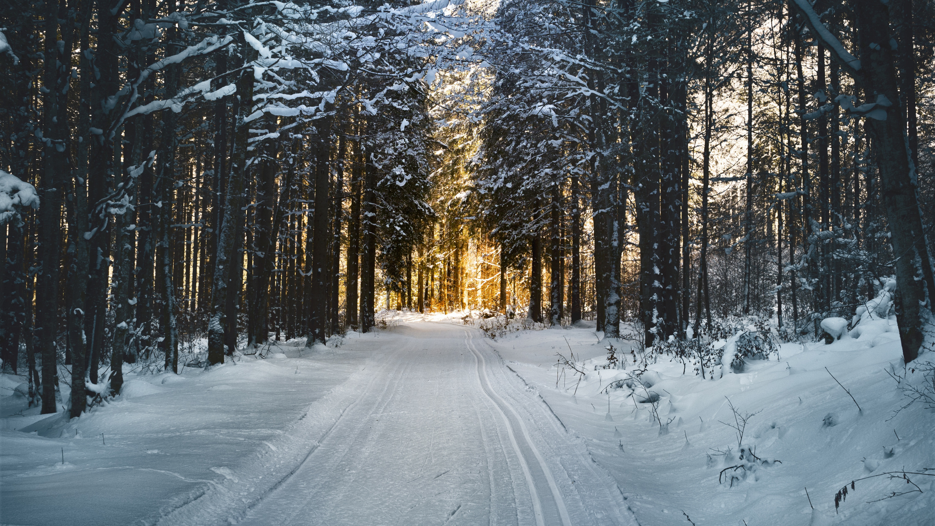 Route Couverte de Neige Entre Les Arbres Pendant la Journée. Wallpaper in 3840x2160 Resolution