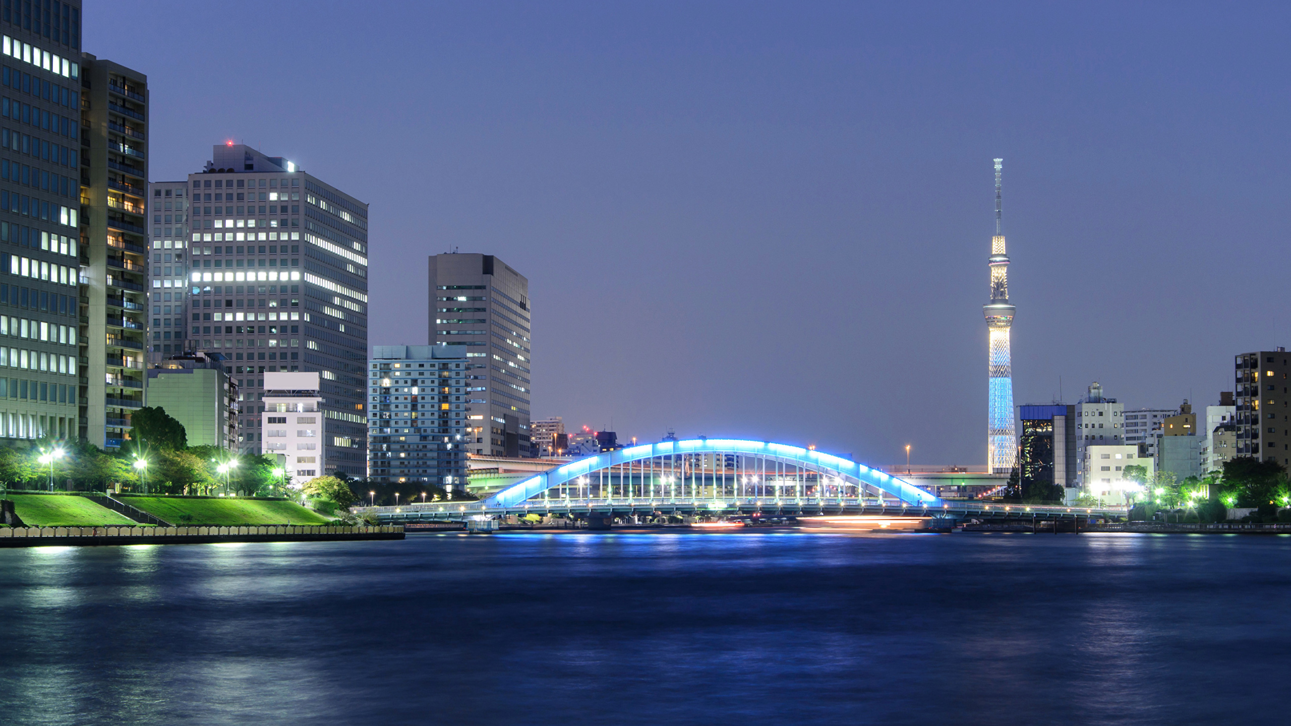 Skyline Der Stadt Bei Nacht Night. Wallpaper in 2560x1440 Resolution