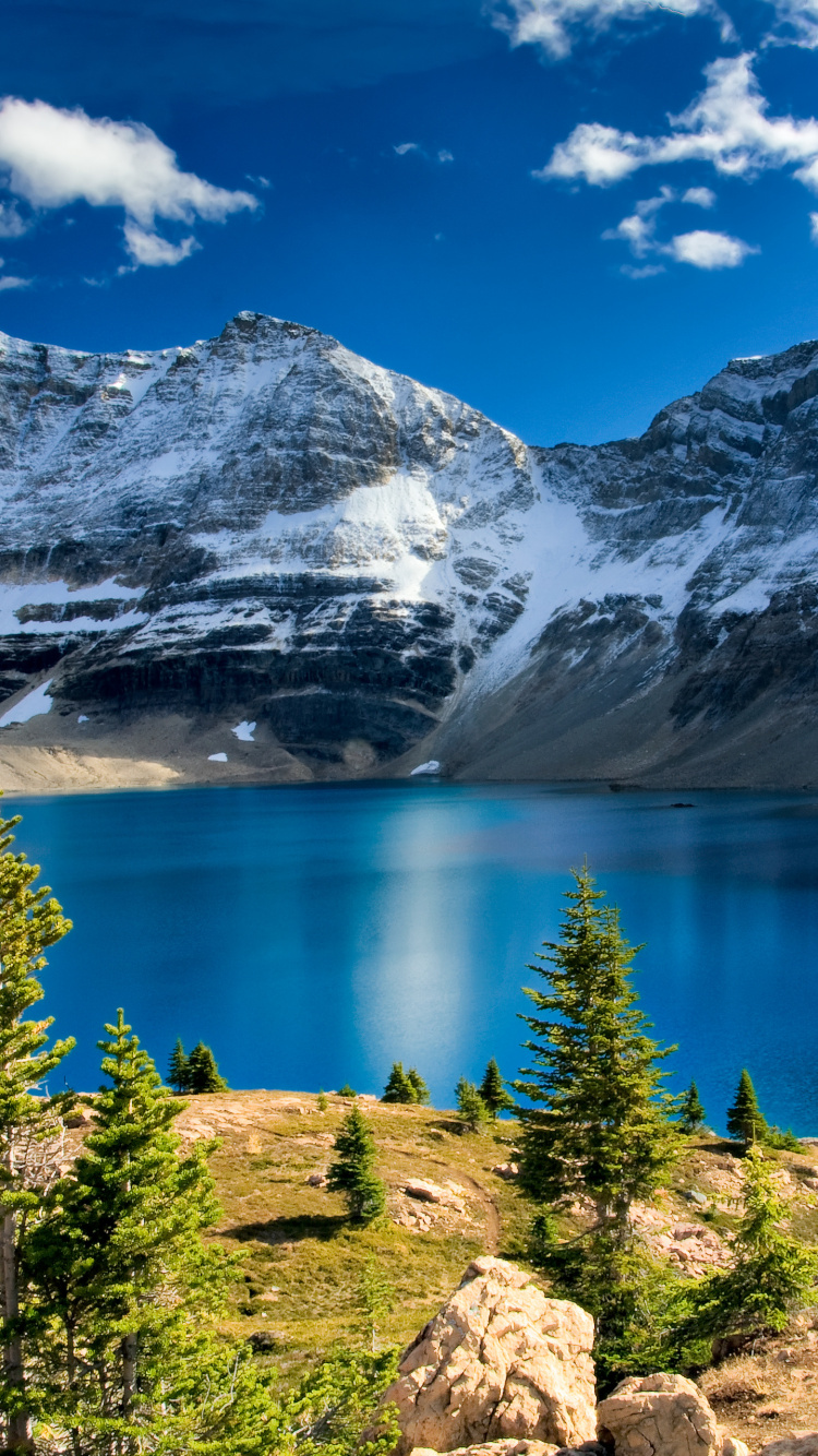 Lake Surrounded by Green Trees and Snow Covered Mountains During Daytime. Wallpaper in 750x1334 Resolution