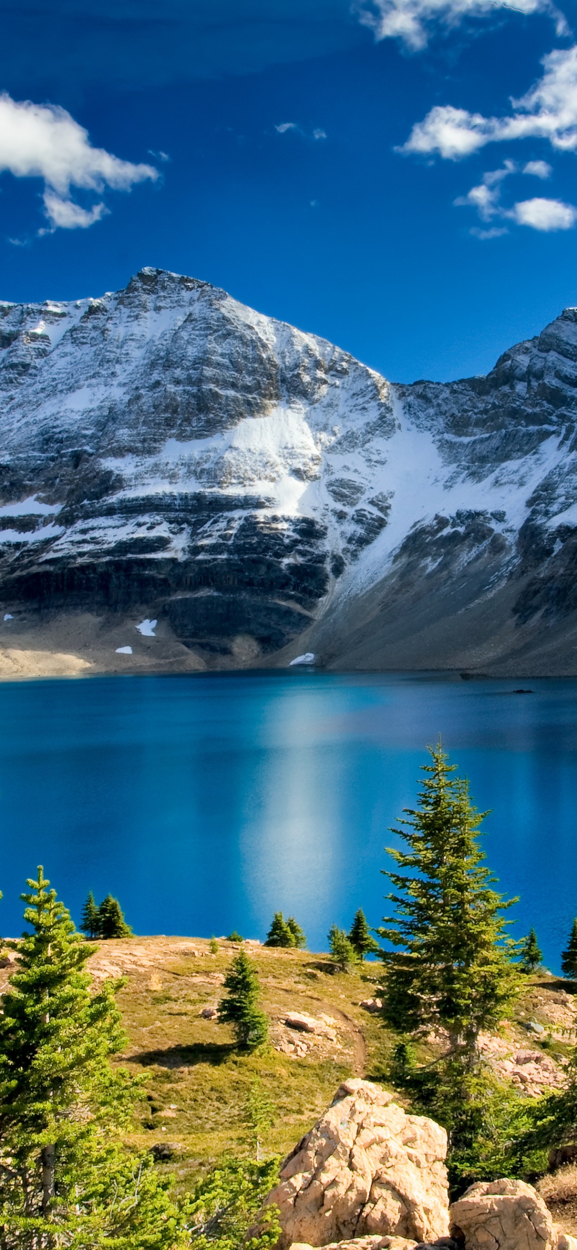 See Umgeben Von Grünen Bäumen Und Schneebedeckten Bergen Tagsüber. Wallpaper in 1125x2436 Resolution