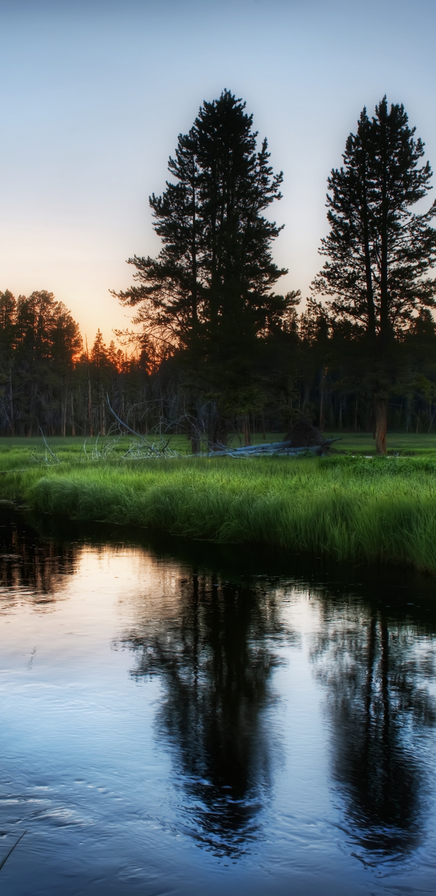 Campo de Hierba Verde Cerca Del Lago Durante el Día. Wallpaper in 1440x2960 Resolution