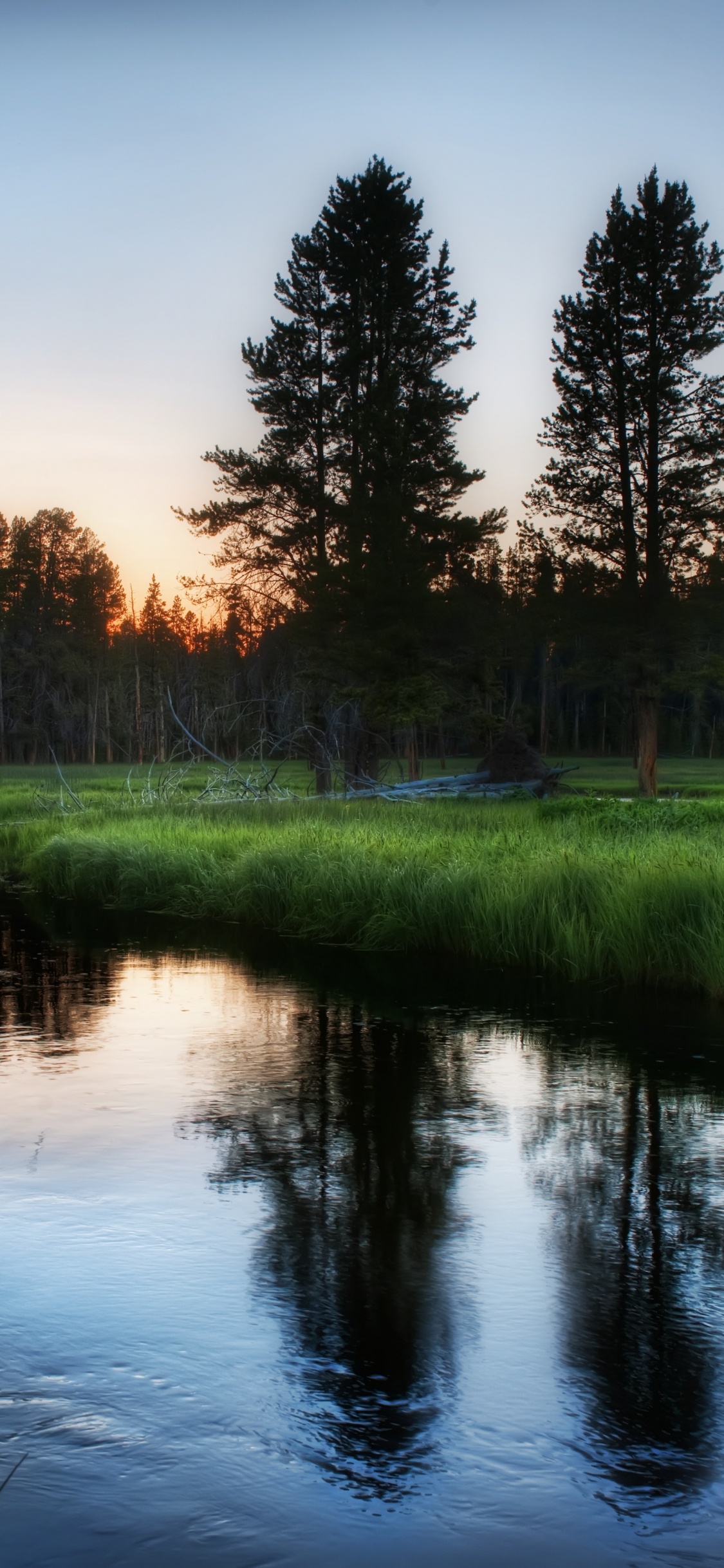 Green Grass Field Near Lake During Daytime. Wallpaper in 1125x2436 Resolution