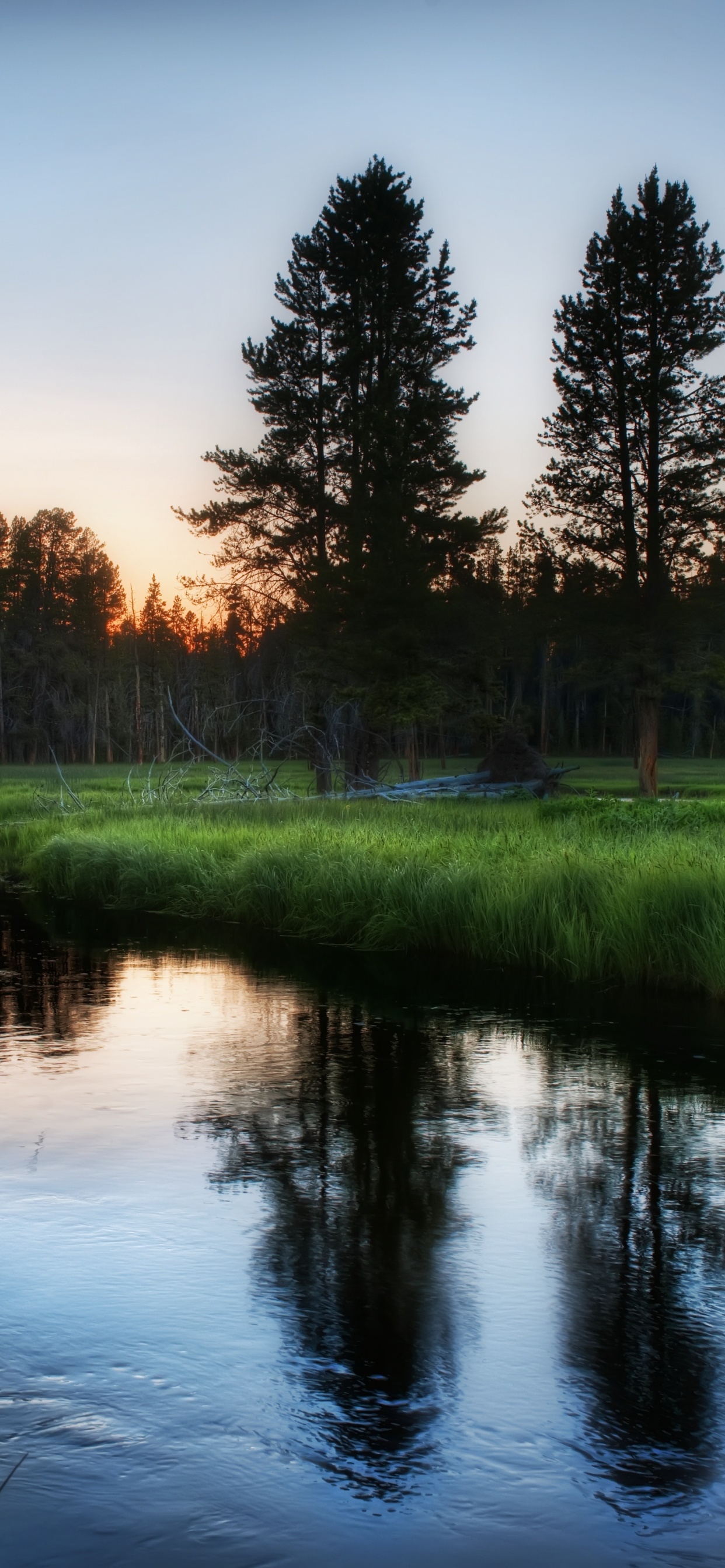 Green Grass Field Near Lake During Daytime. Wallpaper in 1242x2688 Resolution