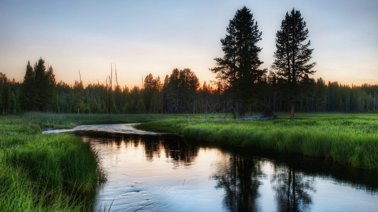 Green Grass Field Near Lake During Daytime. Wallpaper in 1280x720 Resolution