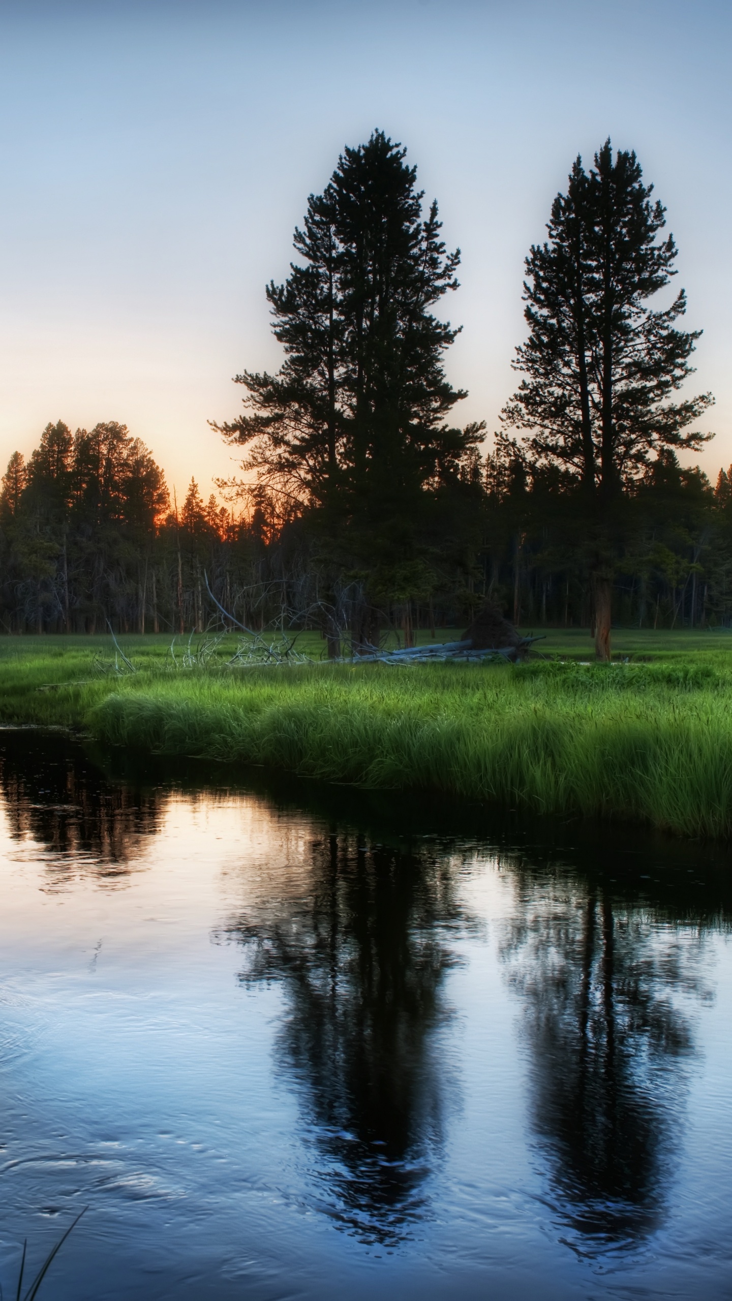 Green Grass Field Near Lake During Daytime. Wallpaper in 1440x2560 Resolution