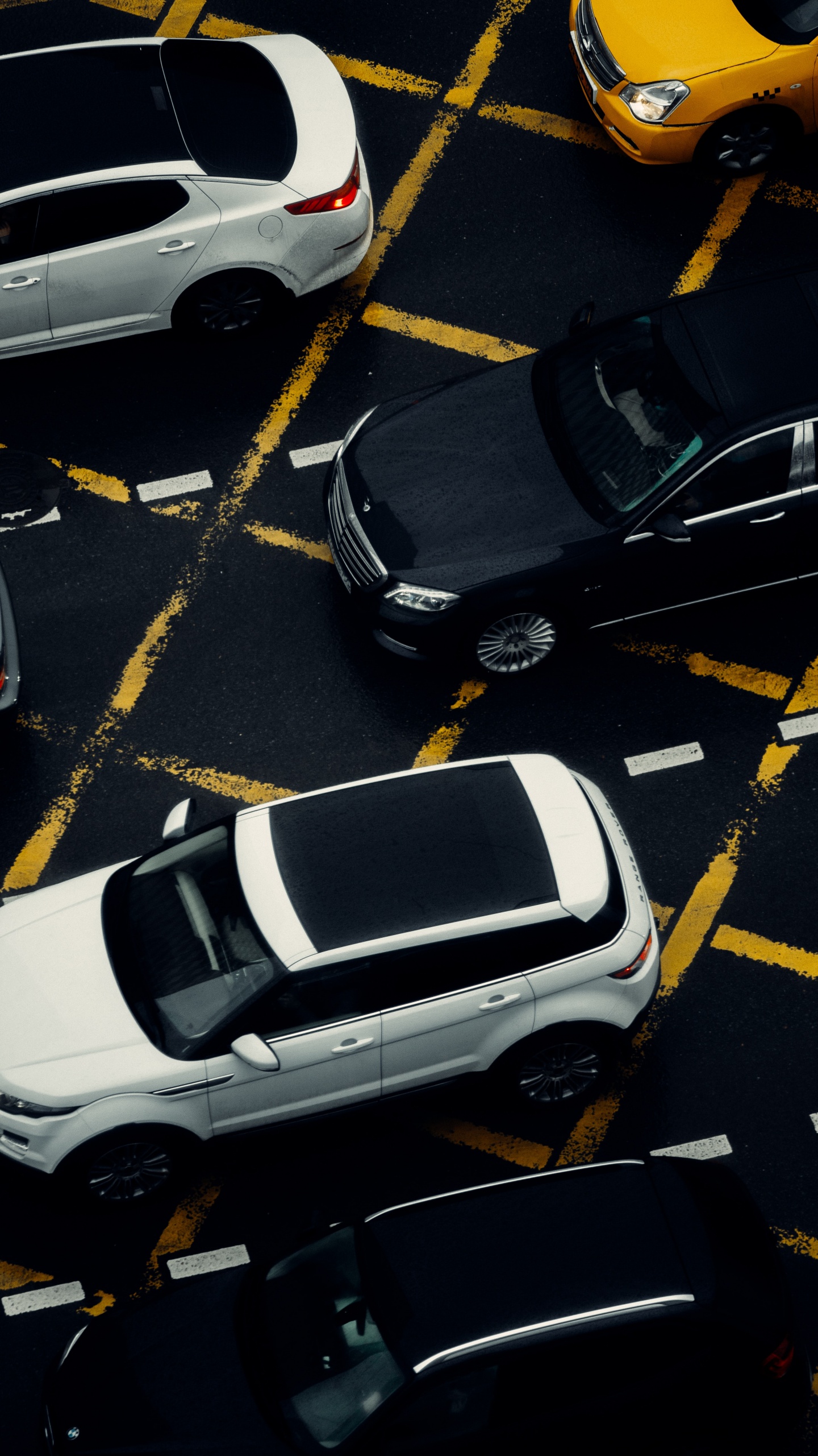 Brise, Feu de Stationnement Automobile, Roue, White, Pneu. Wallpaper in 1440x2560 Resolution