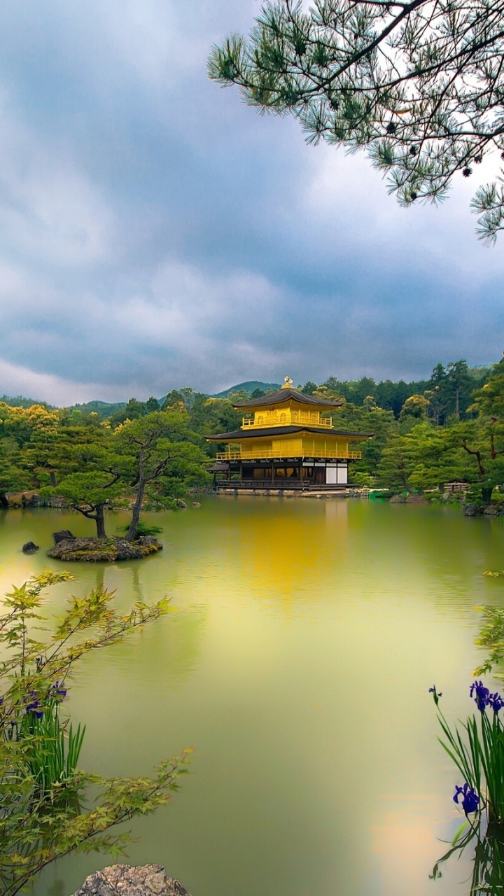 清水寺, 寺庙, 性质, 人体内的水, 反射 壁纸 720x1280 允许