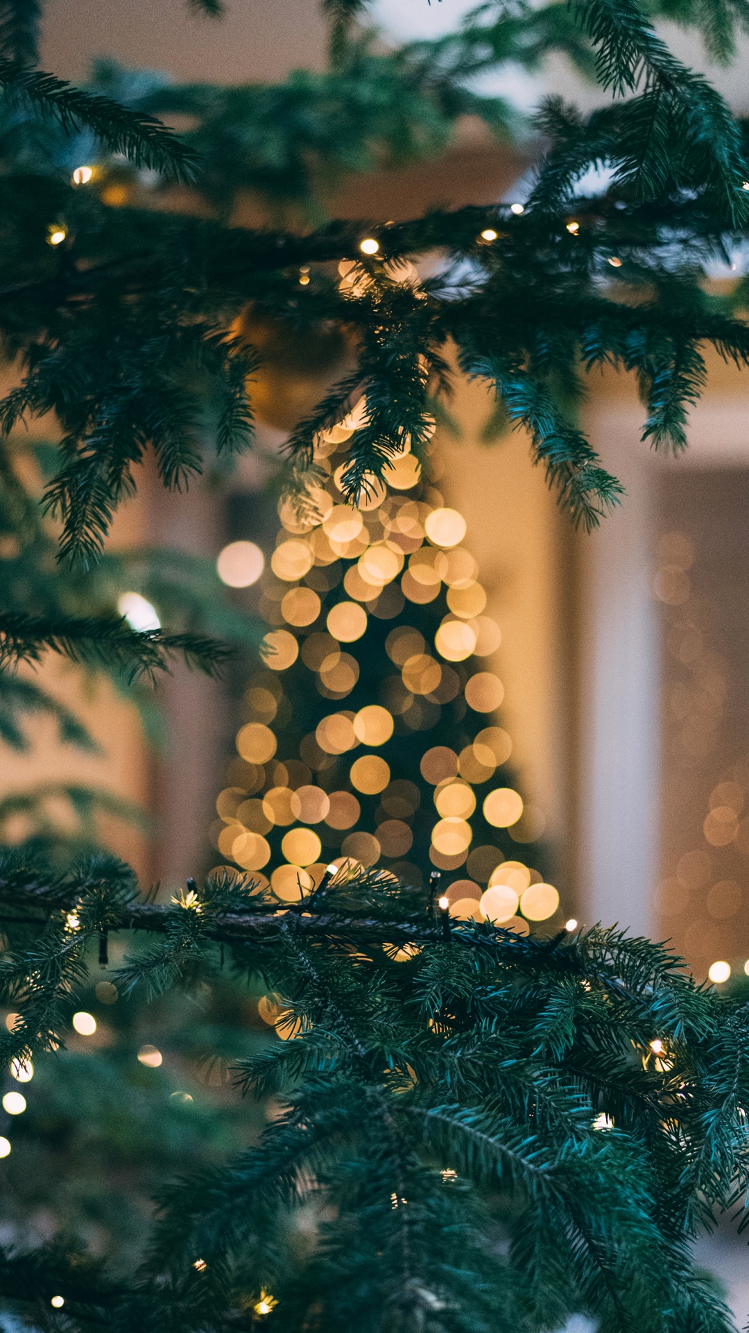 New Year, Christmas, Christmas Day, Christmas Tree, Holiday. Wallpaper in 1080x1920 Resolution