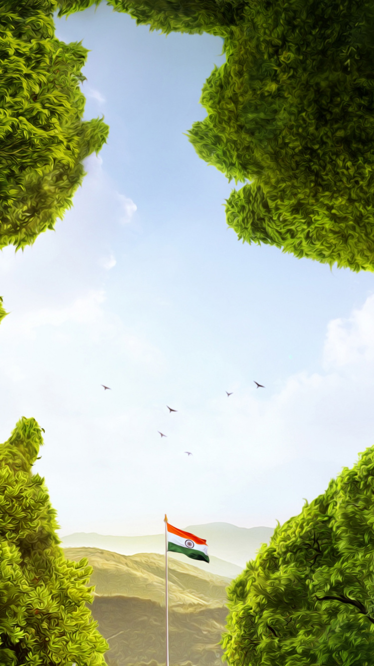 Arbres Verts Sous Des Nuages Blancs Pendant la Journée. Wallpaper in 750x1334 Resolution