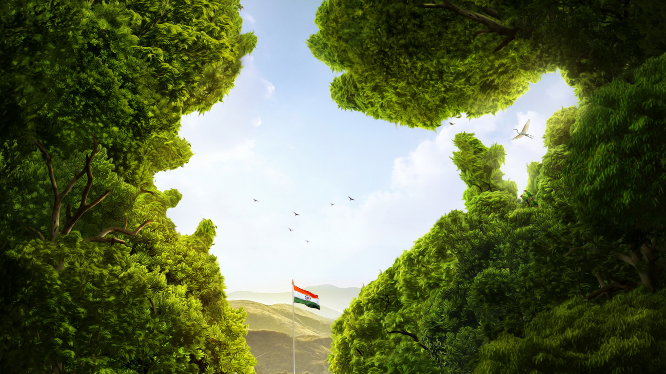 Tagsüber Grüne Bäume Unter Weißen Wolken. Wallpaper in 1366x768 Resolution