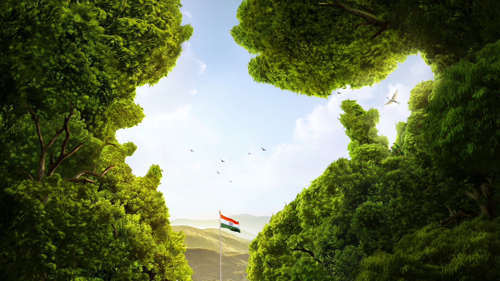 Tagsüber Grüne Bäume Unter Weißen Wolken. Wallpaper in 1920x1080 Resolution