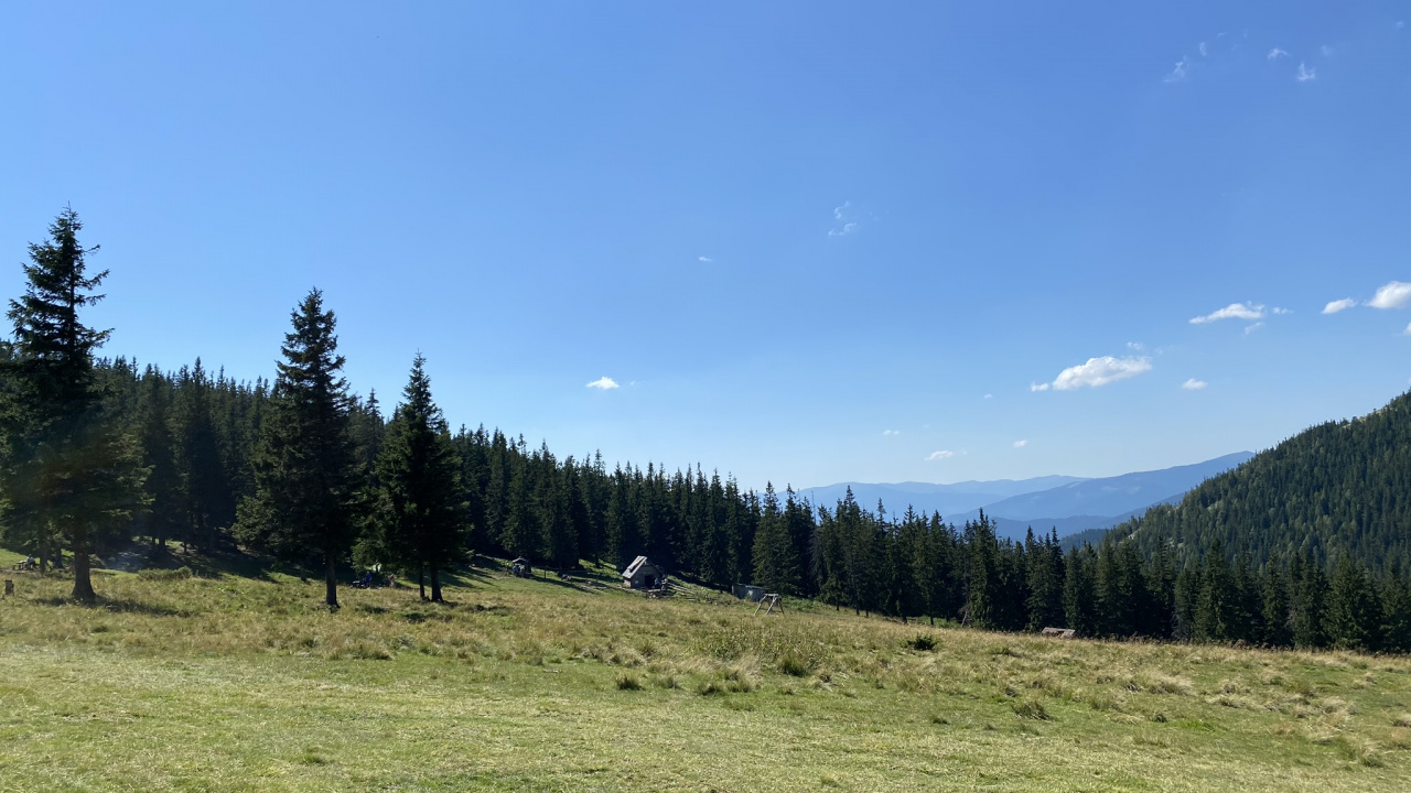 Environnement Naturel, Paysage Naturel, Les Terres Beaucoup, Pâturage, Prairie. Wallpaper in 1280x720 Resolution