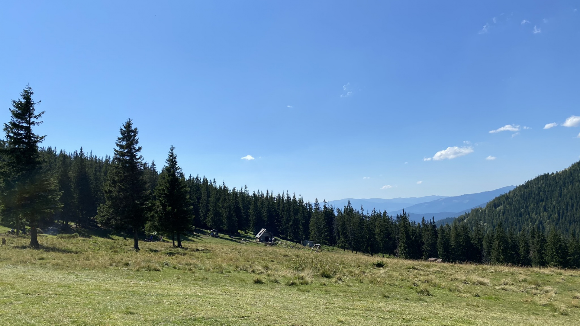 Natural Environment, Natural Landscape, Tree, Landscape, Land Lot. Wallpaper in 1920x1080 Resolution