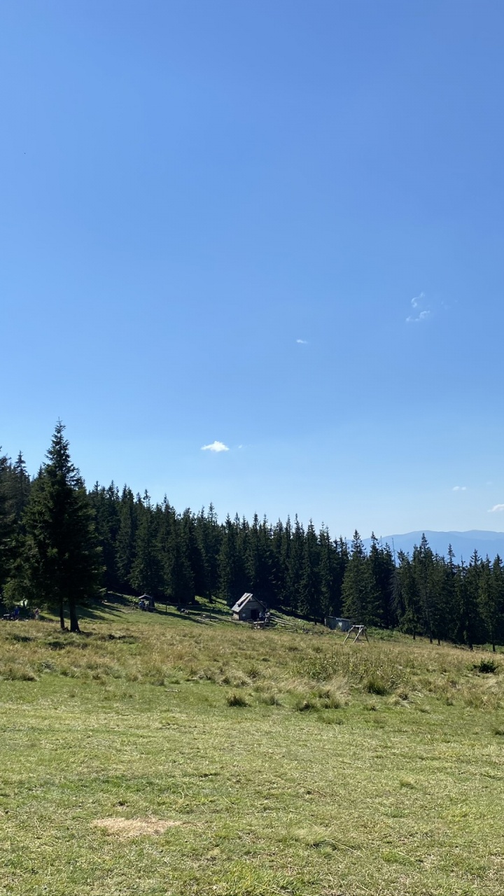 Natural Environment, Natural Landscape, Tree, Landscape, Land Lot. Wallpaper in 720x1280 Resolution