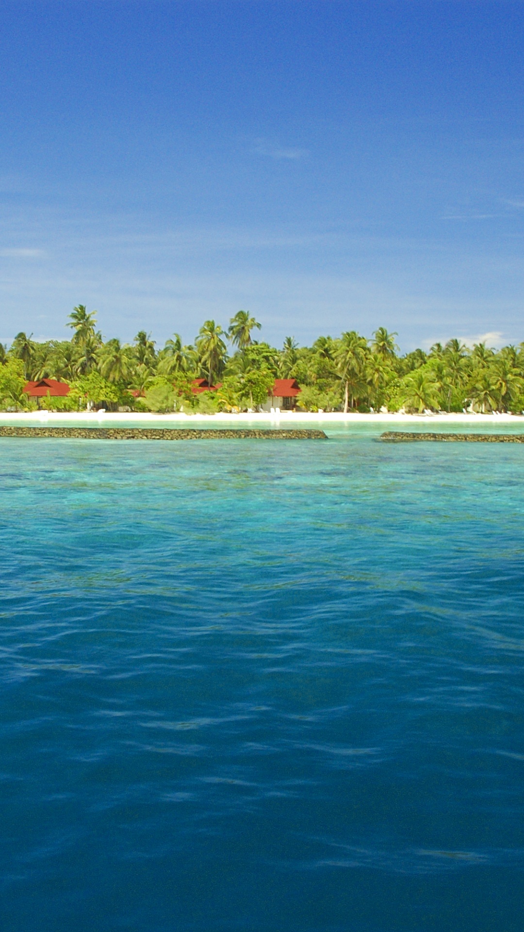 Green Trees on Island Surrounded by Water Under Blue Sky During Daytime. Wallpaper in 1080x1920 Resolution