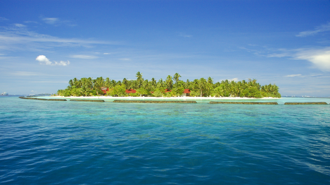 Green Trees on Island Surrounded by Water Under Blue Sky During Daytime. Wallpaper in 1366x768 Resolution