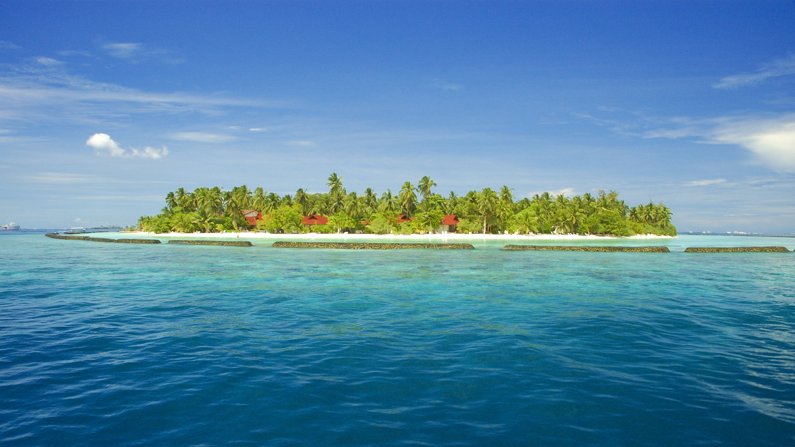 Green Trees on Island Surrounded by Water Under Blue Sky During Daytime. Wallpaper in 2560x1440 Resolution