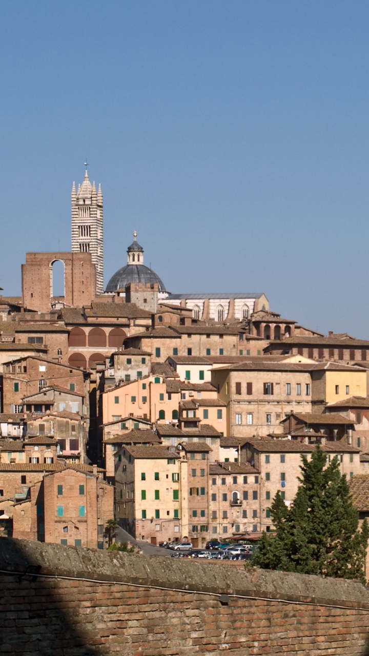 Bâtiment en Béton Brun Près Des Arbres Verts Sous Ciel Bleu Pendant la Journée. Wallpaper in 720x1280 Resolution