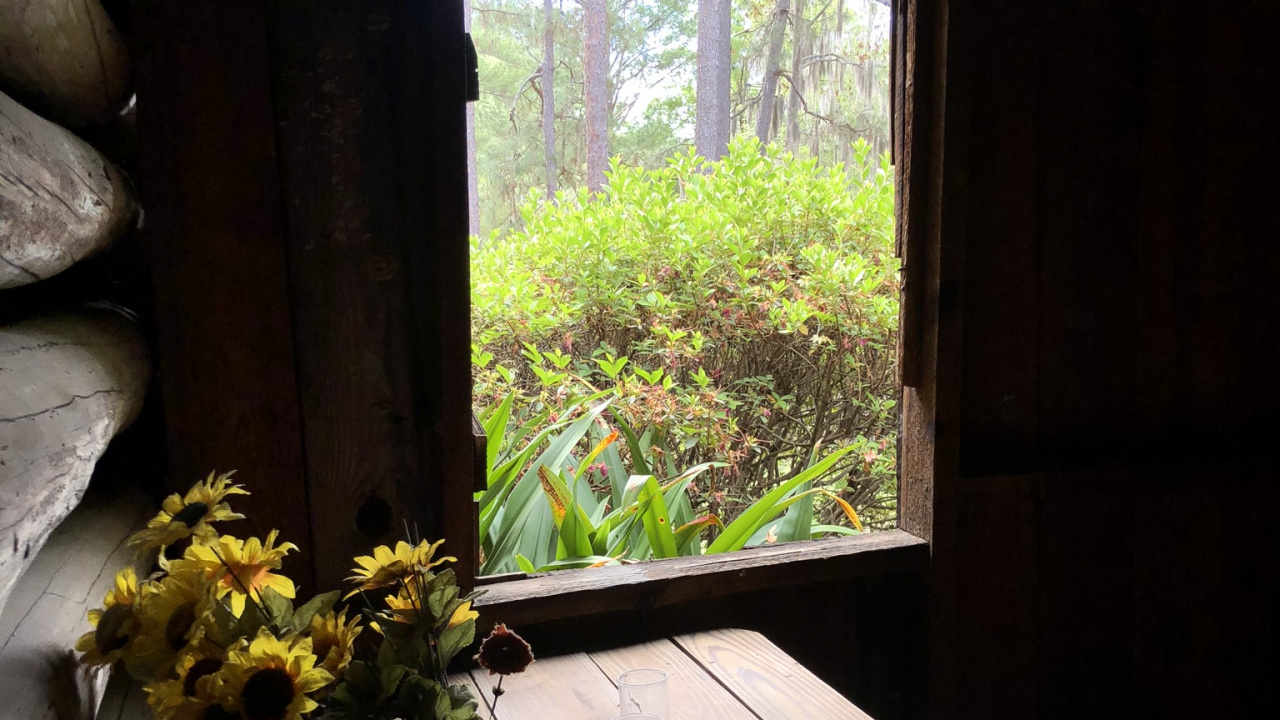 的房子, 采光, 科学, 生物学, 木 壁纸 1280x720 允许