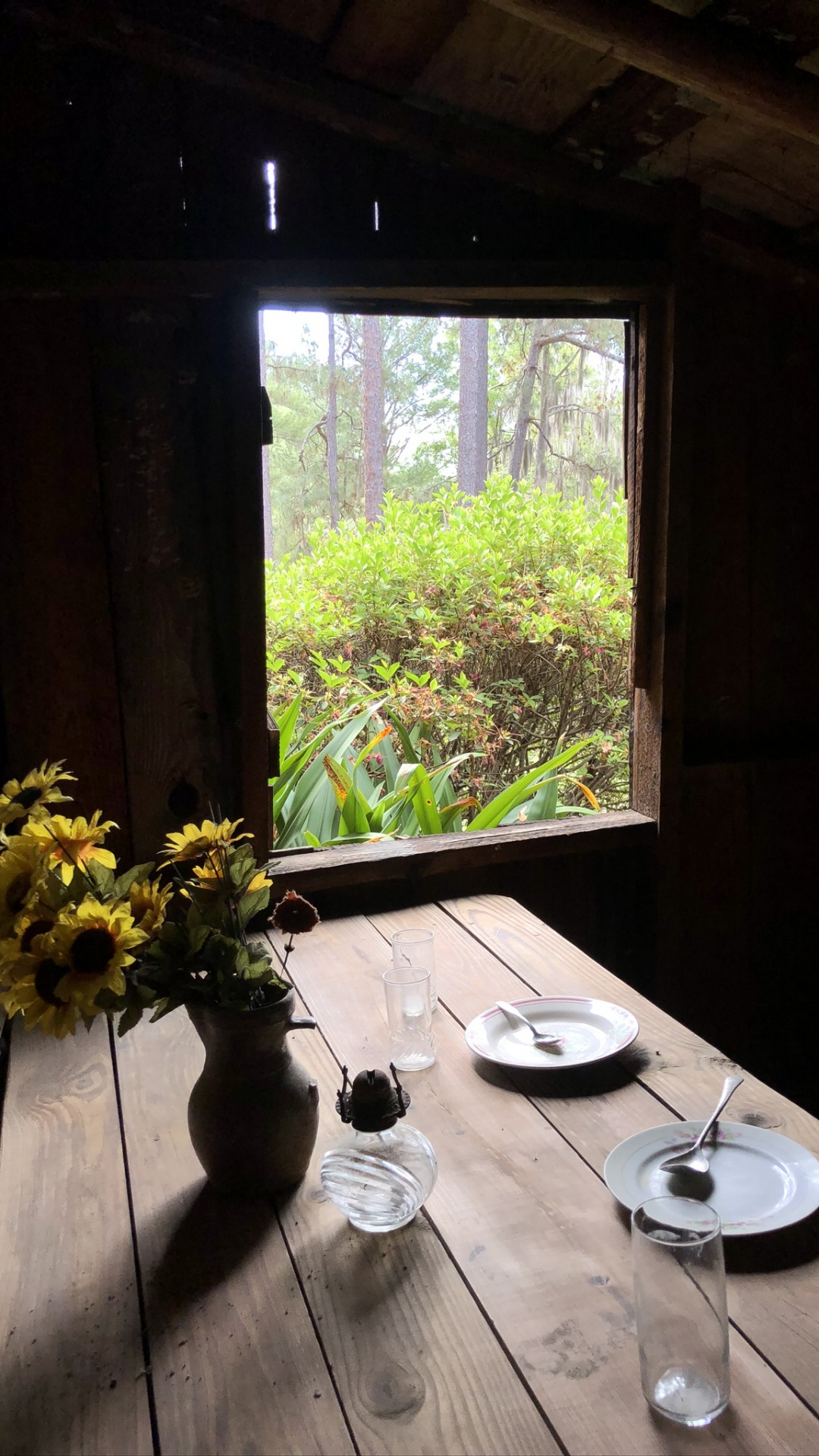 Haus, Solatube, Wissenschaft, Biologie, Holz. Wallpaper in 1080x1920 Resolution