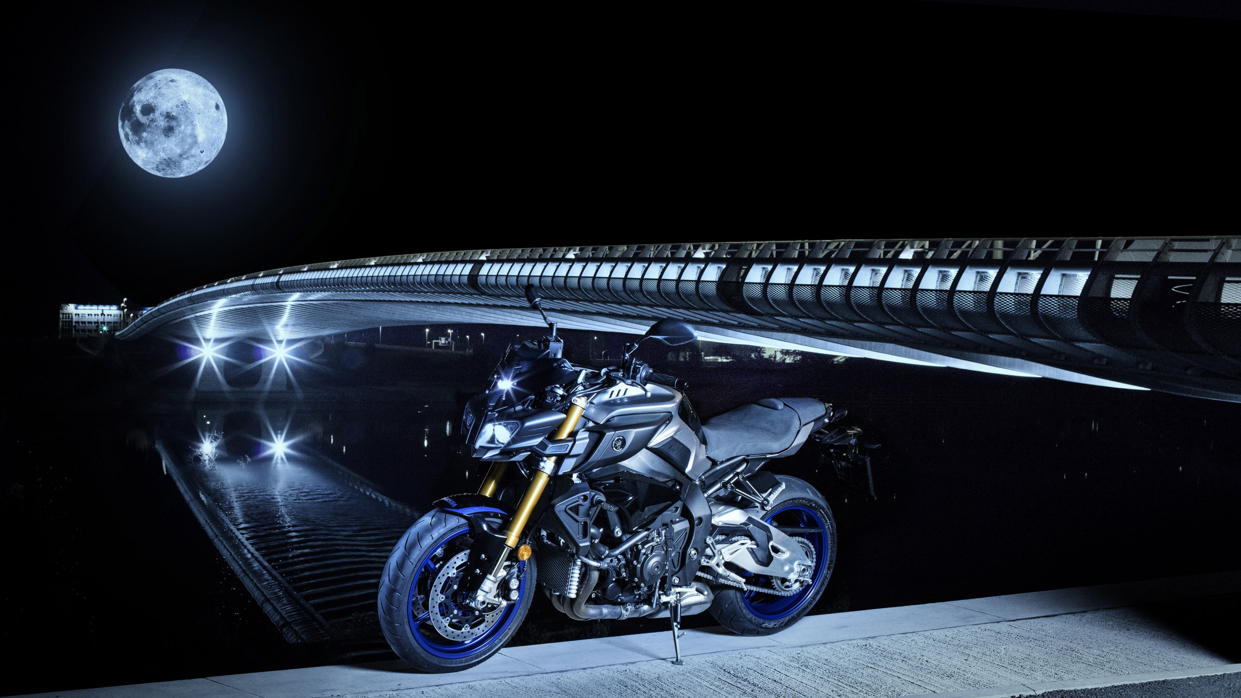 Vélo de Sport Noir et Jaune. Wallpaper in 2560x1440 Resolution