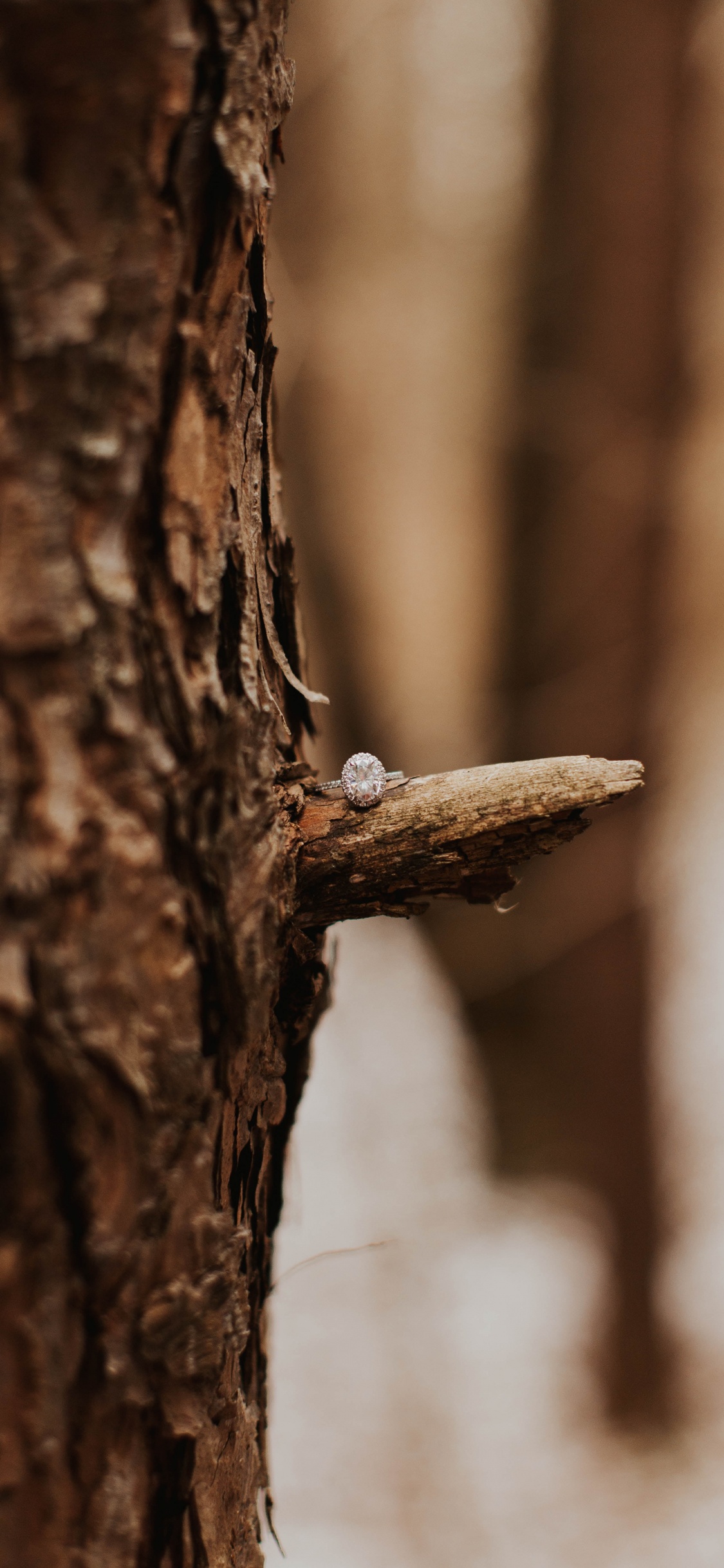 Braunes Holz Mit Weißem Schnee. Wallpaper in 1125x2436 Resolution