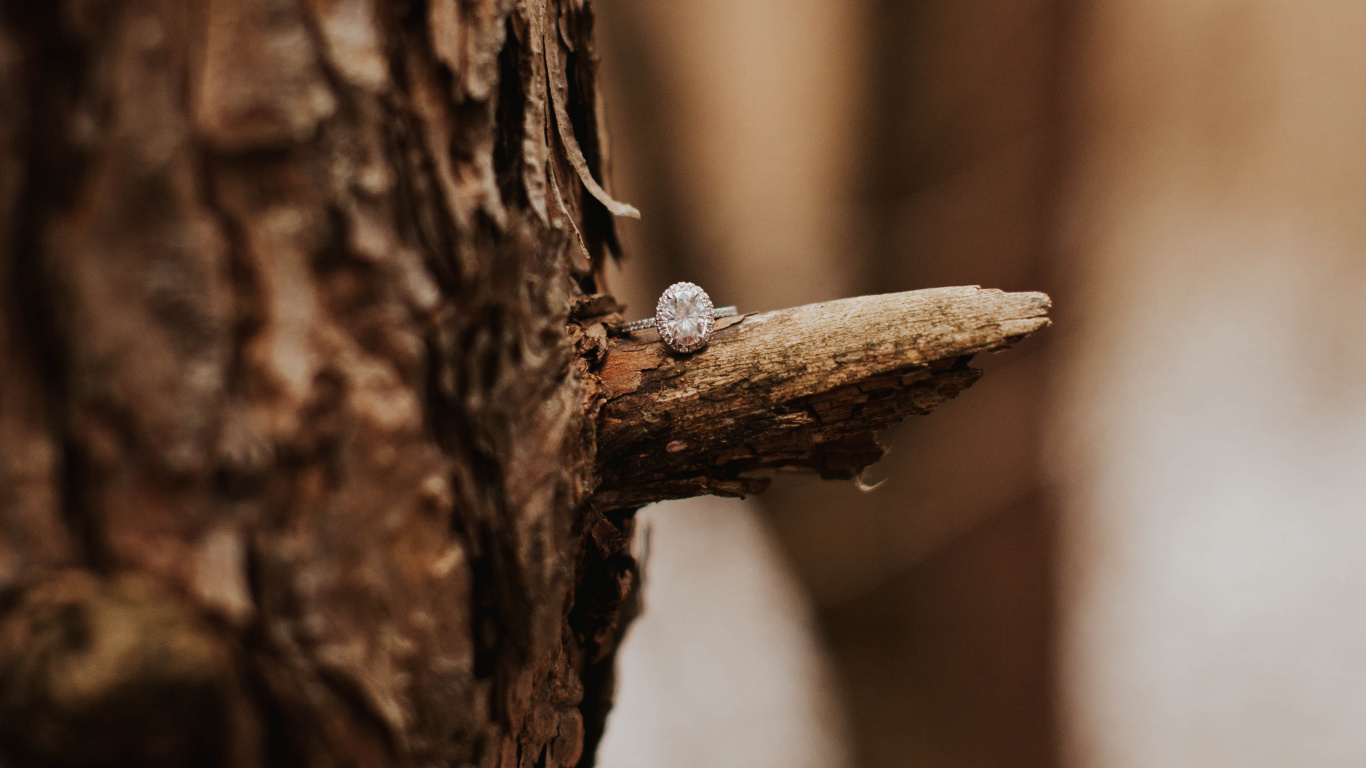 Braunes Holz Mit Weißem Schnee. Wallpaper in 1366x768 Resolution