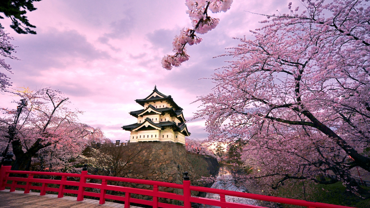 White and Black Concrete Building Near Pink Cherry Blossom Tree Under White Clouds and Blue Sky. Wallpaper in 1280x720 Resolution
