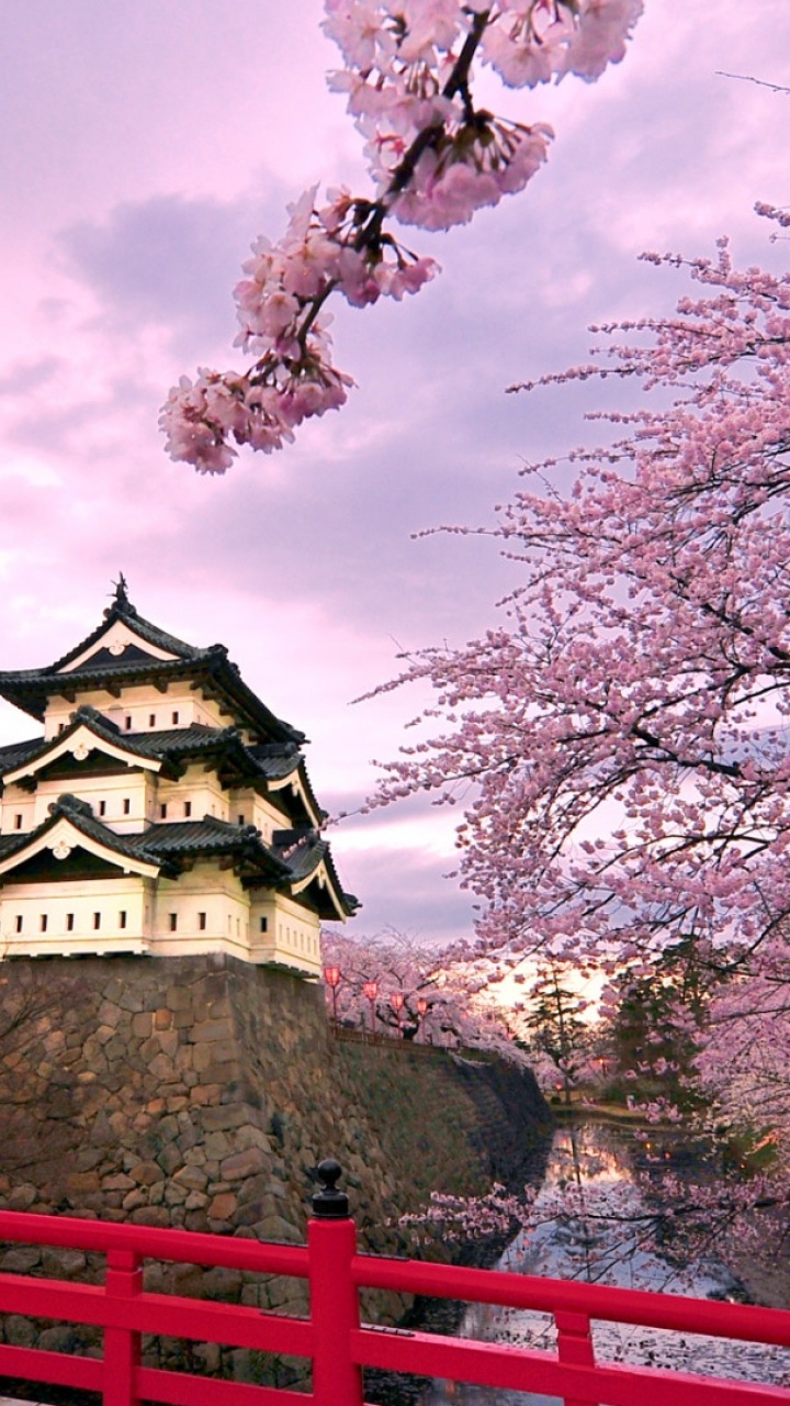 弘前, 日本城堡, 樱花, 城堡, 开花 壁纸 720x1280 允许